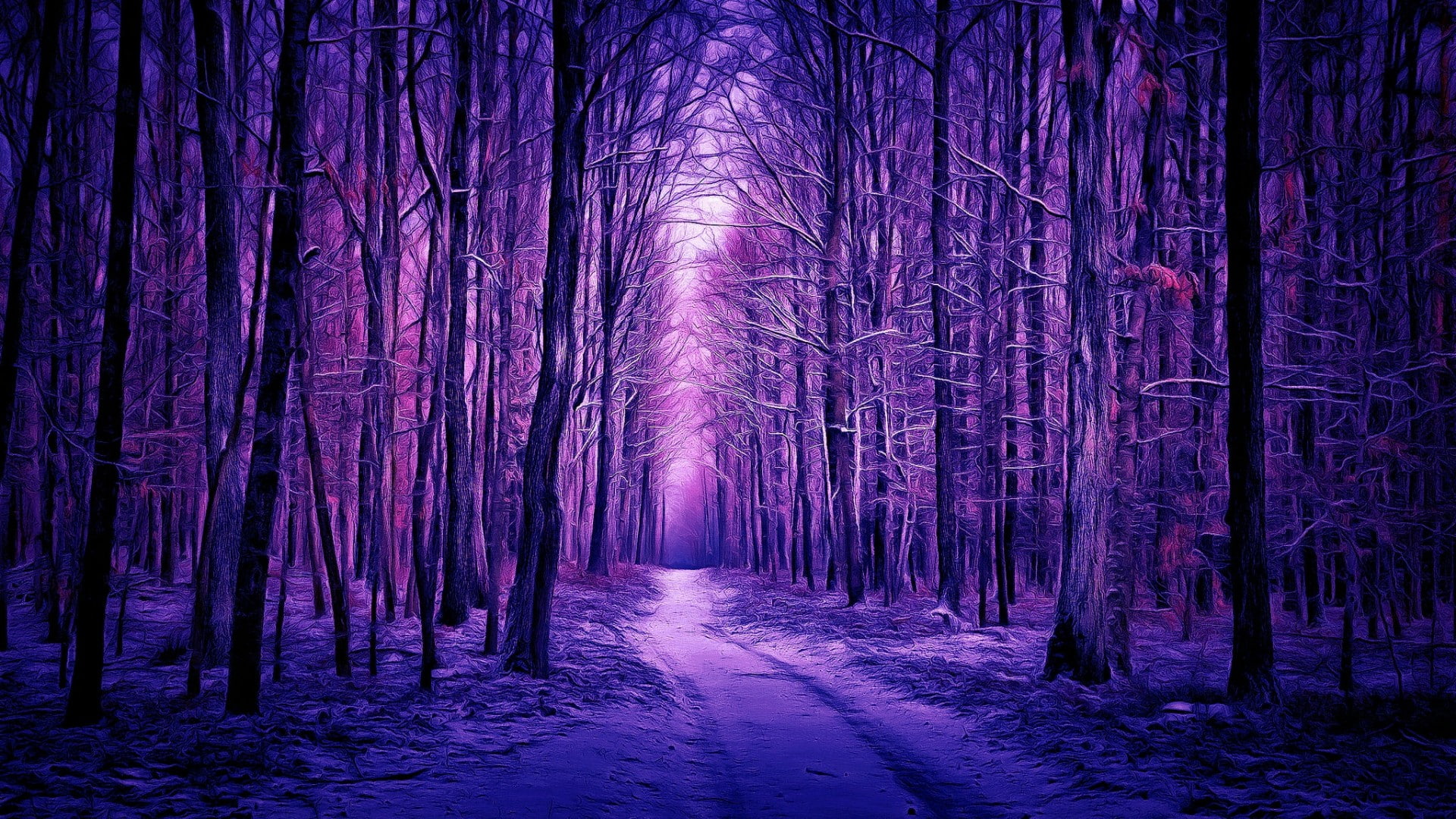 purple landscape, purple forest, forest path, woods, woodland