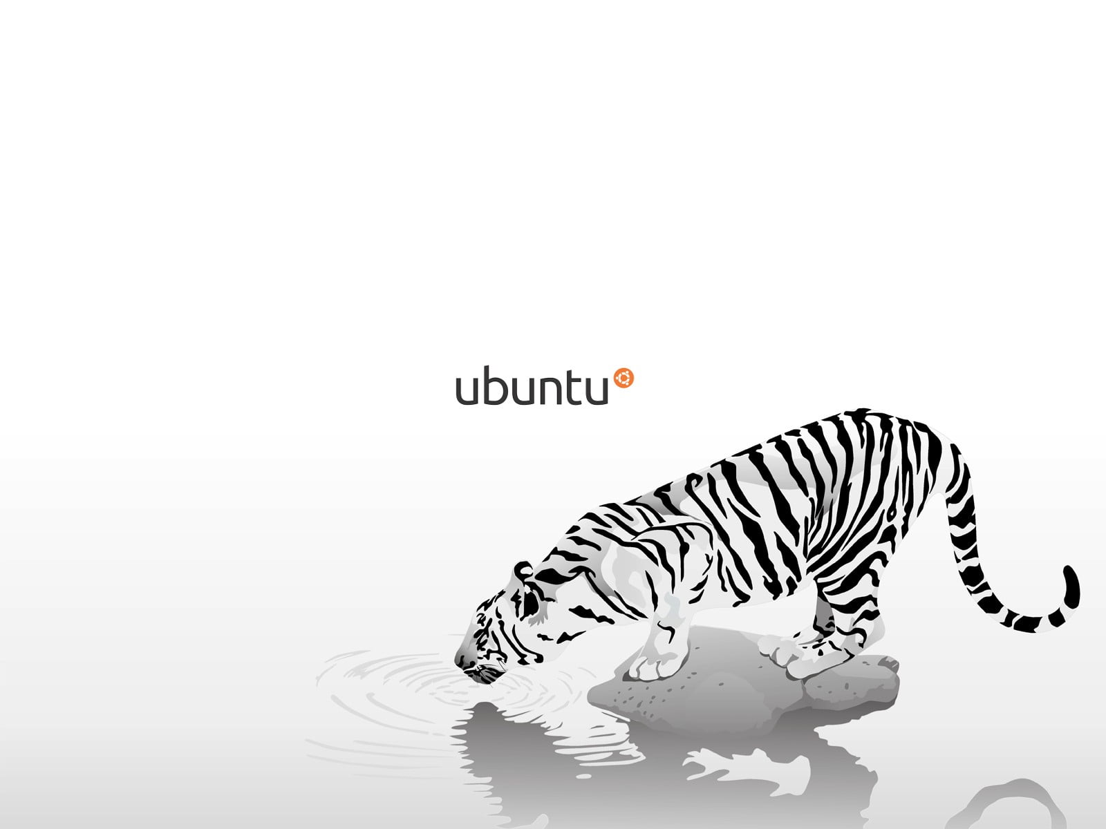 white tiger illustration, Linux, GNU, Ubuntu, western script