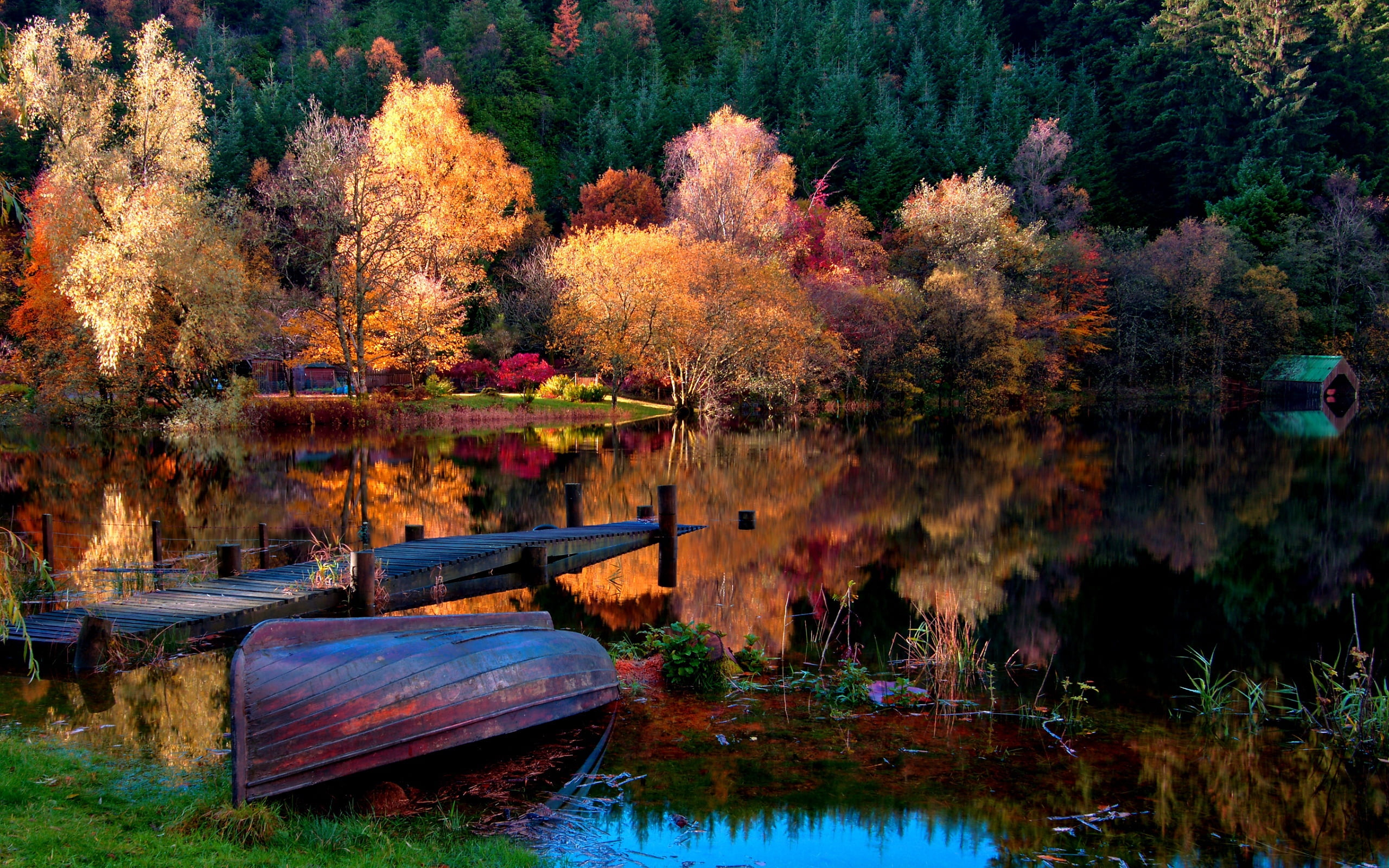 brown wooden dinghy boat, coast, bottom, autumn, lake, surface
