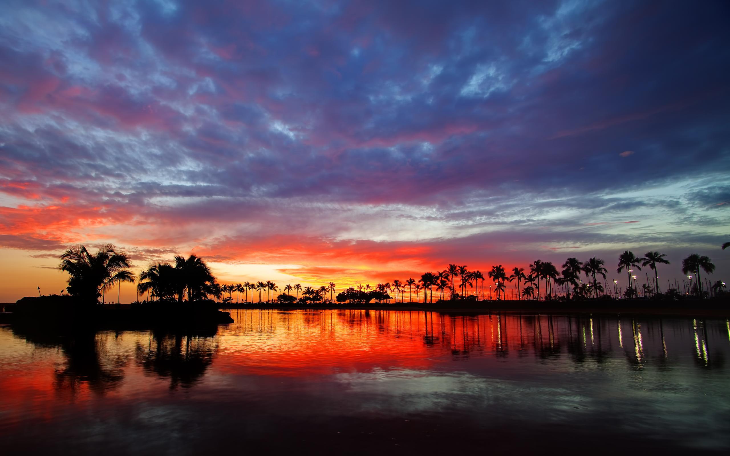 Sunset In Hawaii, lovely, view, red sunset, palms, beautiful