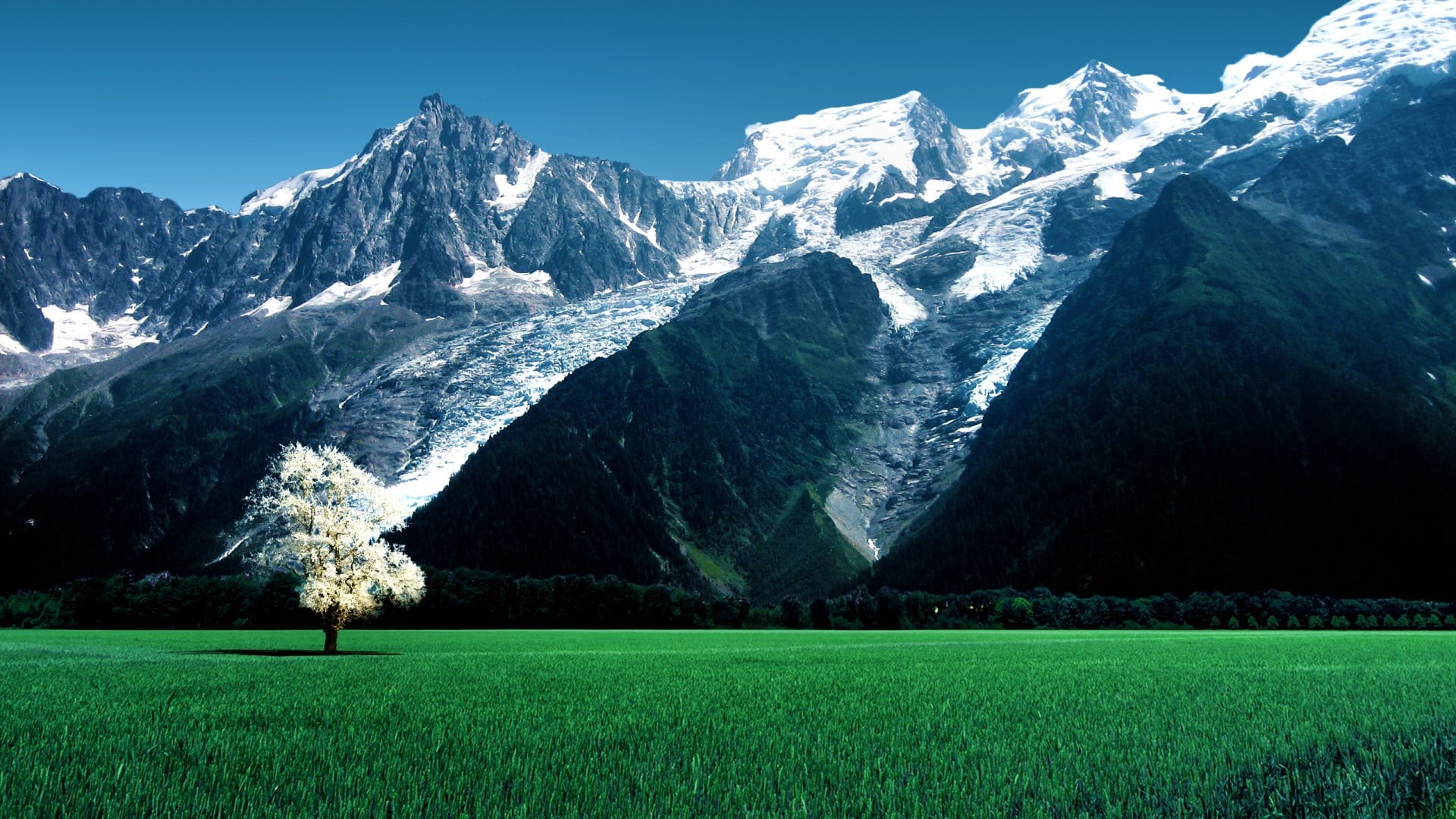 meadow, glacier des bossons, chamonix, valley, chamonix valley