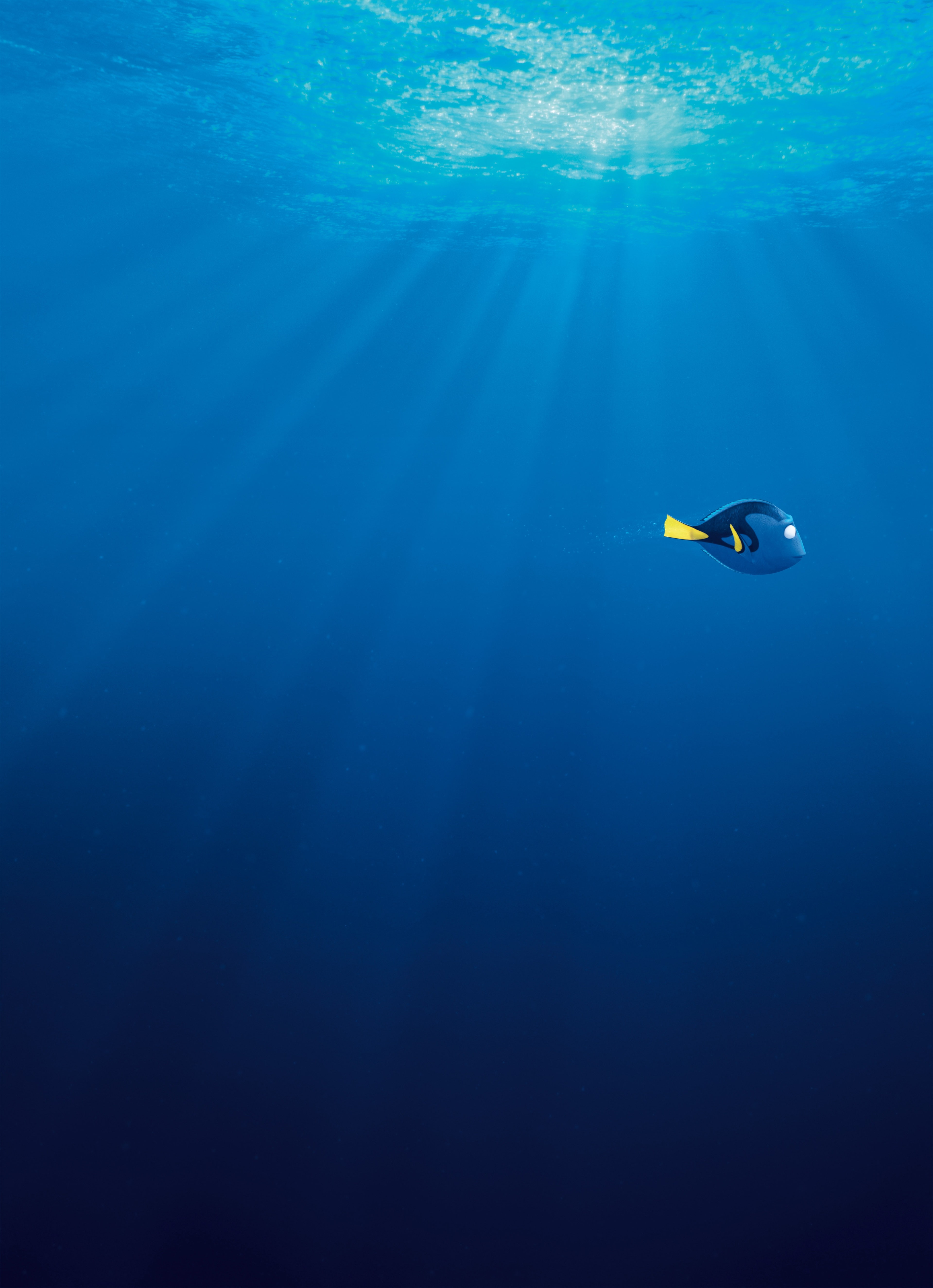 finding dory 4k screen   download, underwater, animal themes