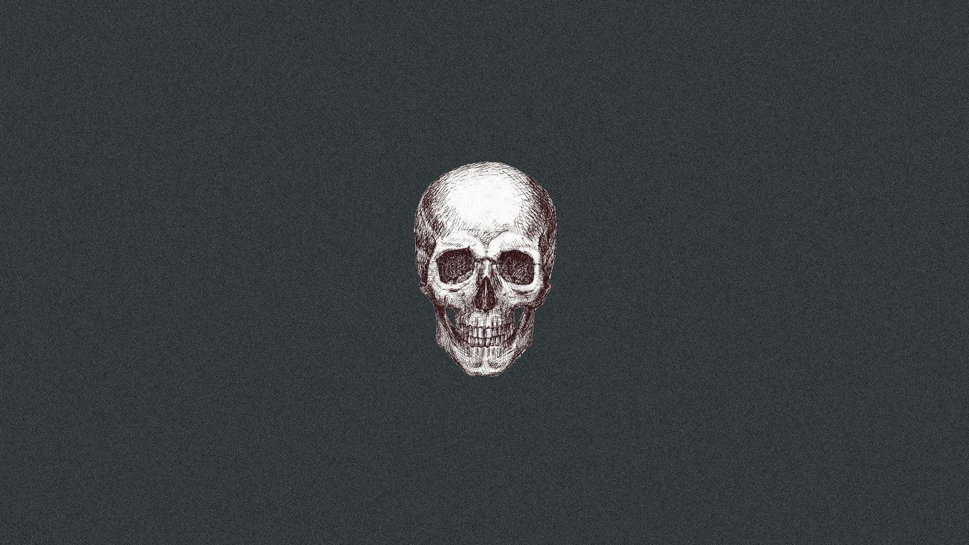gray skull artwork, studio shot, human skeleton, human body part