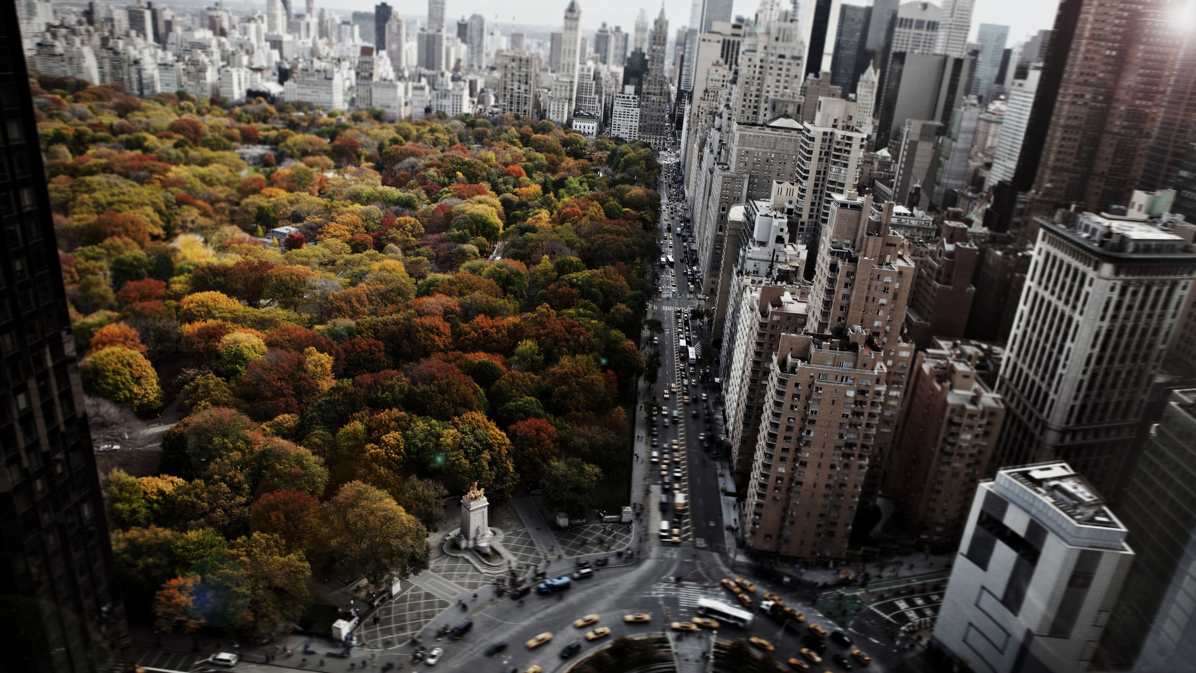 new york, autumn, city, metropolis, cityscape, skyscraper, tree