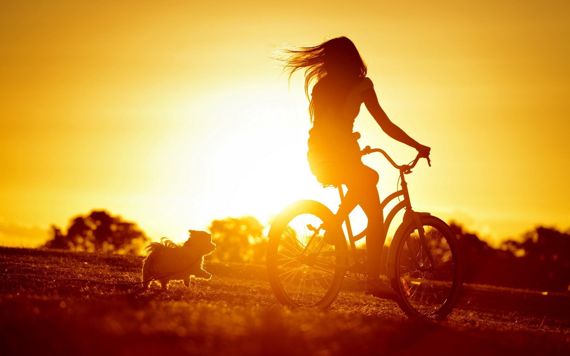 sunset, women, bicycle, dog, sunlight, silhouette, women with bicycles
