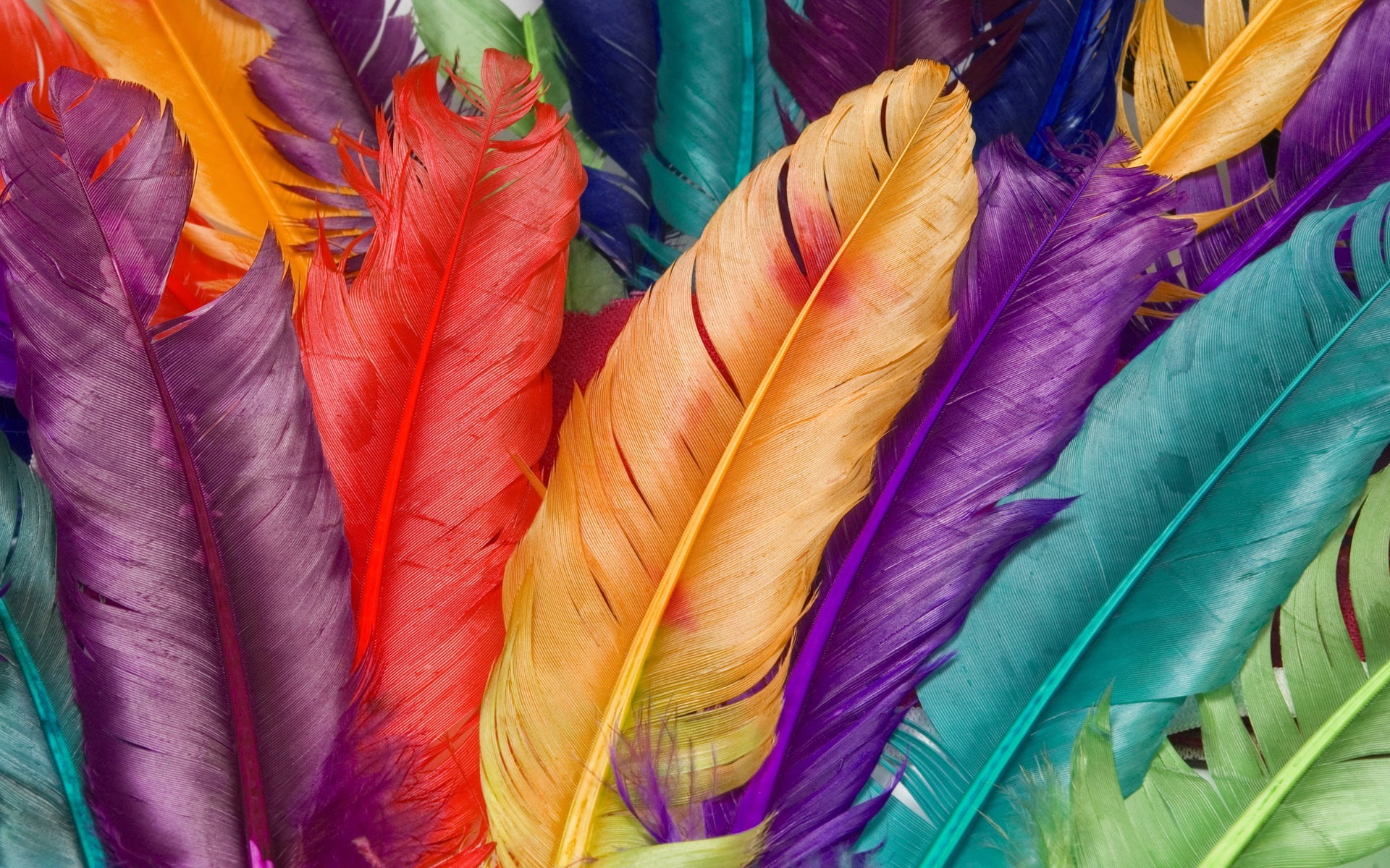 assorted-color feathers wallpaper, colorful, multi colored, full frame