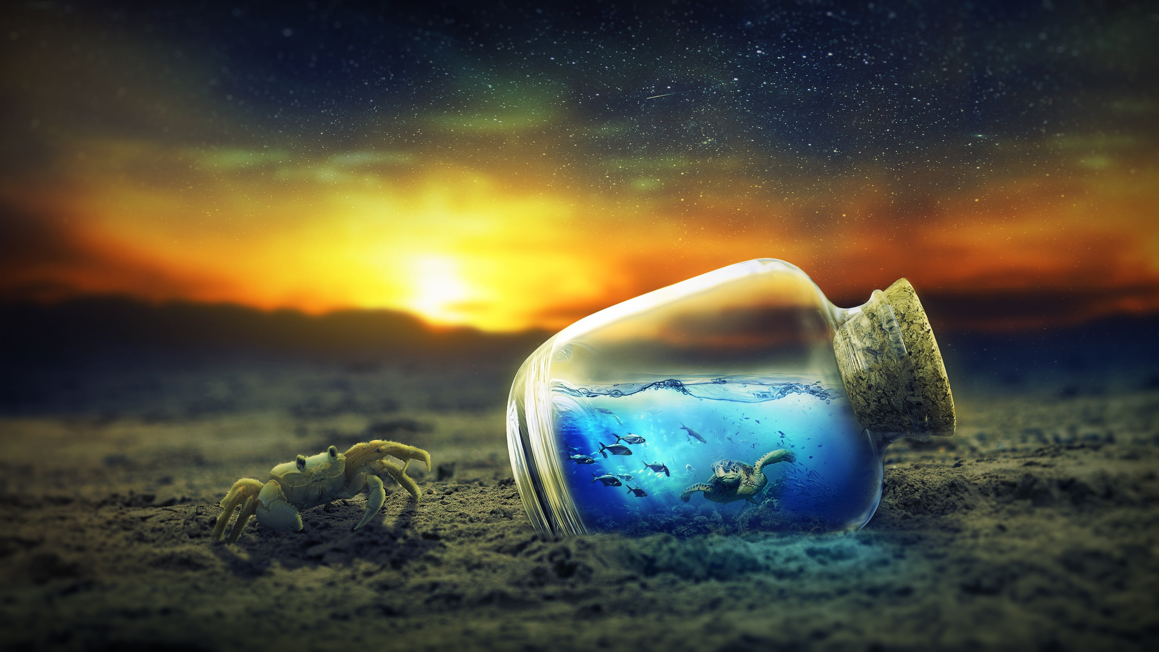 bottle, sea, ocean, starry sky, stars, sand, crayfish, water