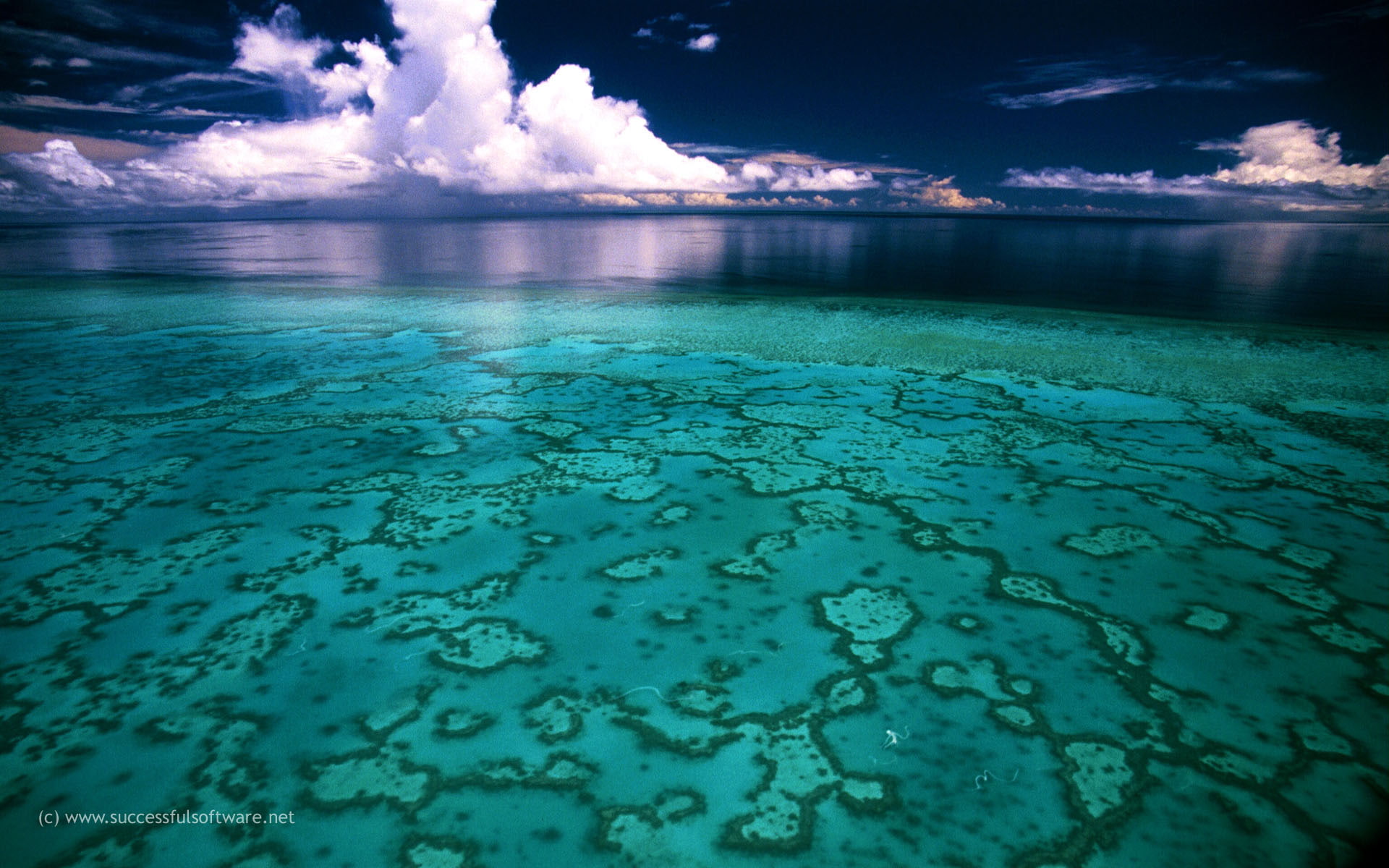 australia, great Barrier Reef, natural, ocean, sea, water