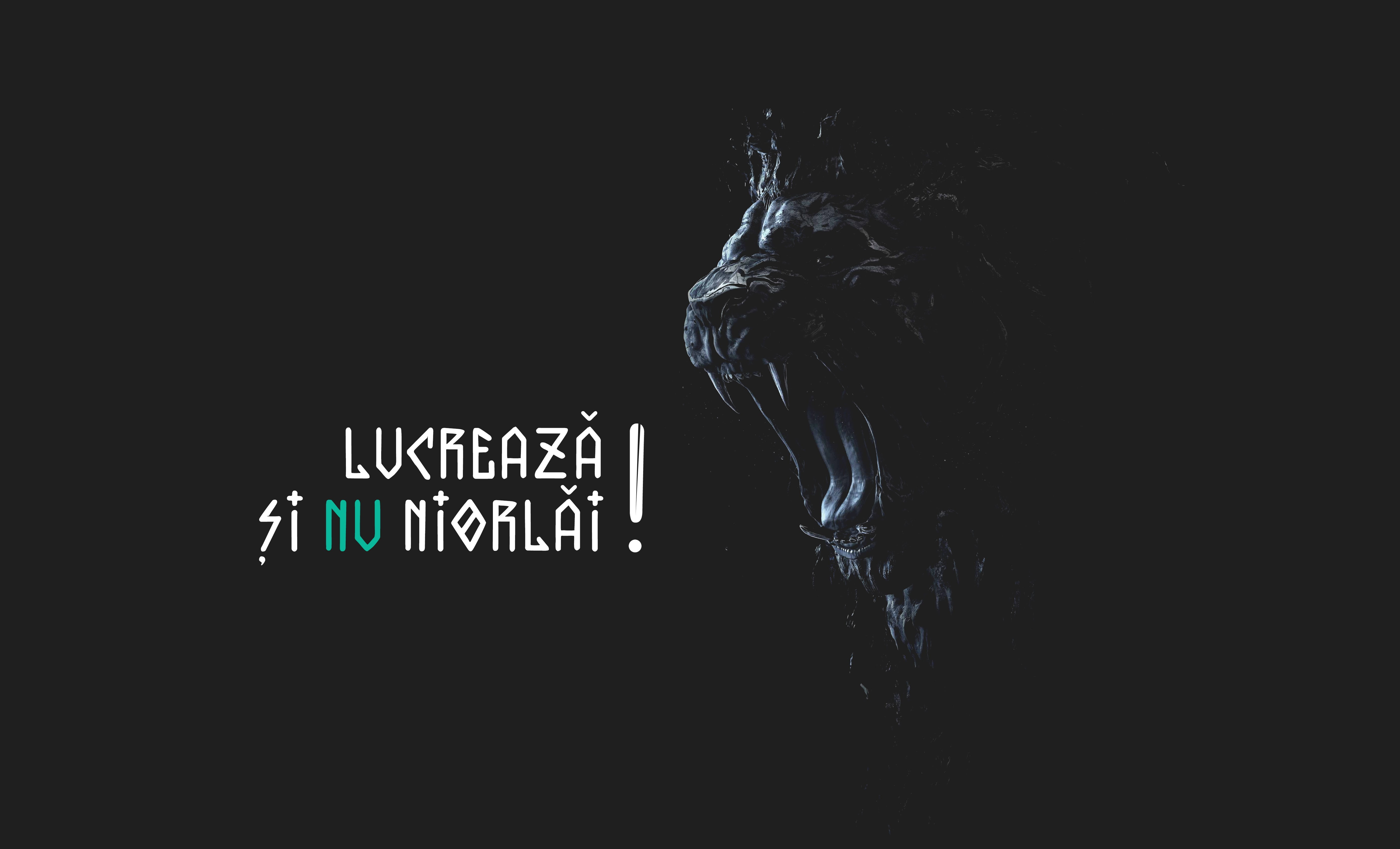 black roaring lion digital wallpaper, brilliancereview, lucreaza