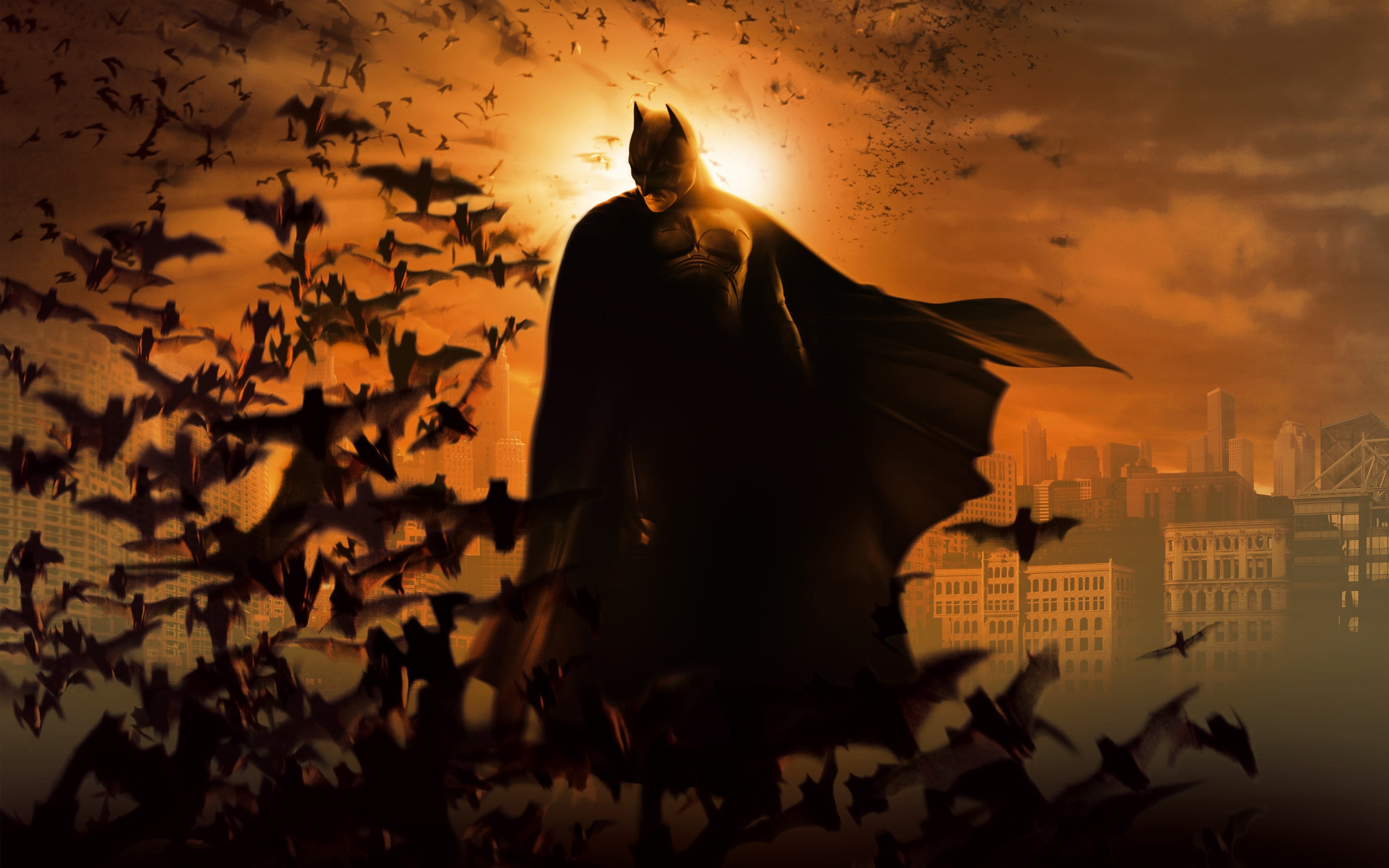 Batman wallpaper, bats, city, Batman Begins, movies, sky, sunset