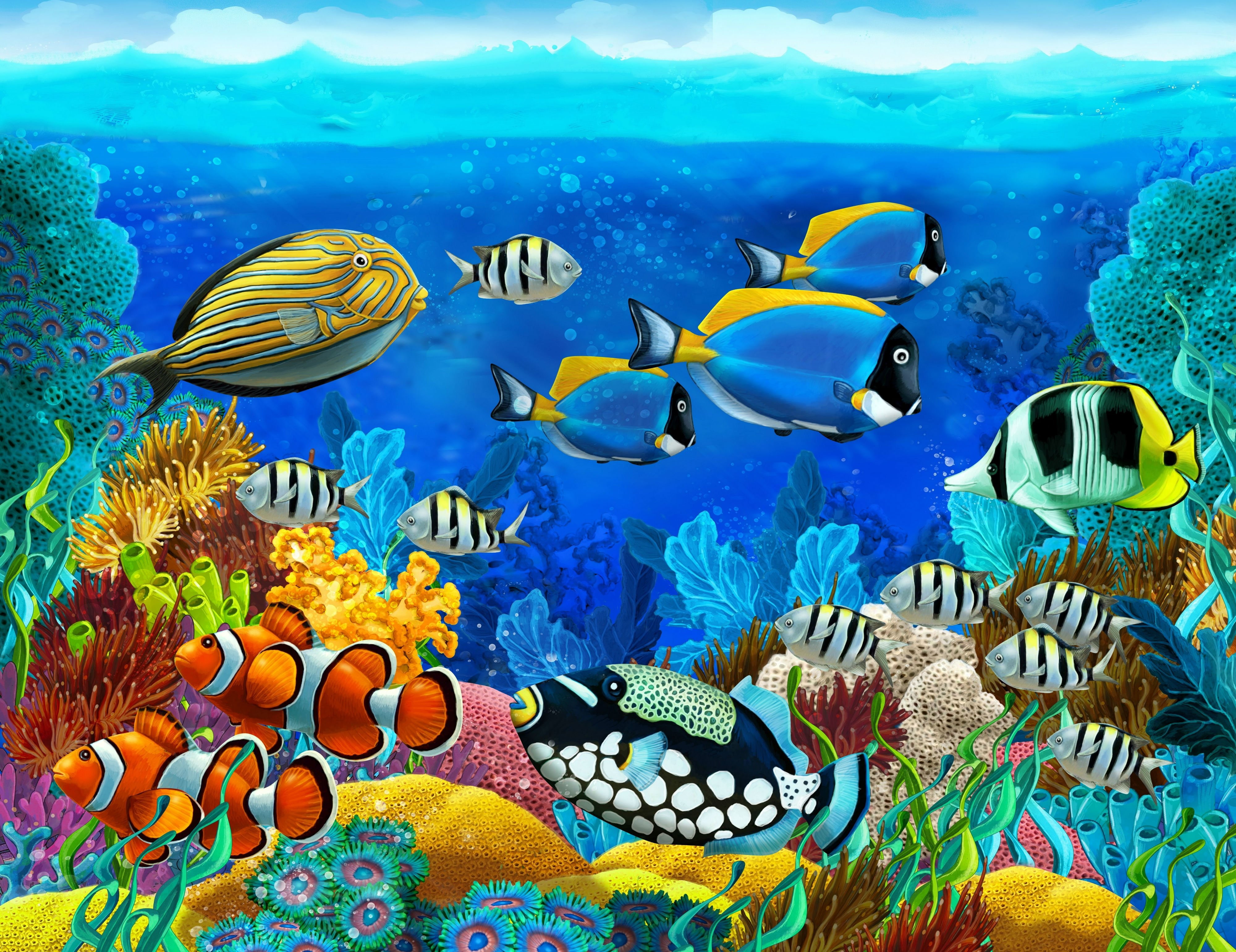 Corals, fish, ocean, sea, Seabed, tropical, underwater