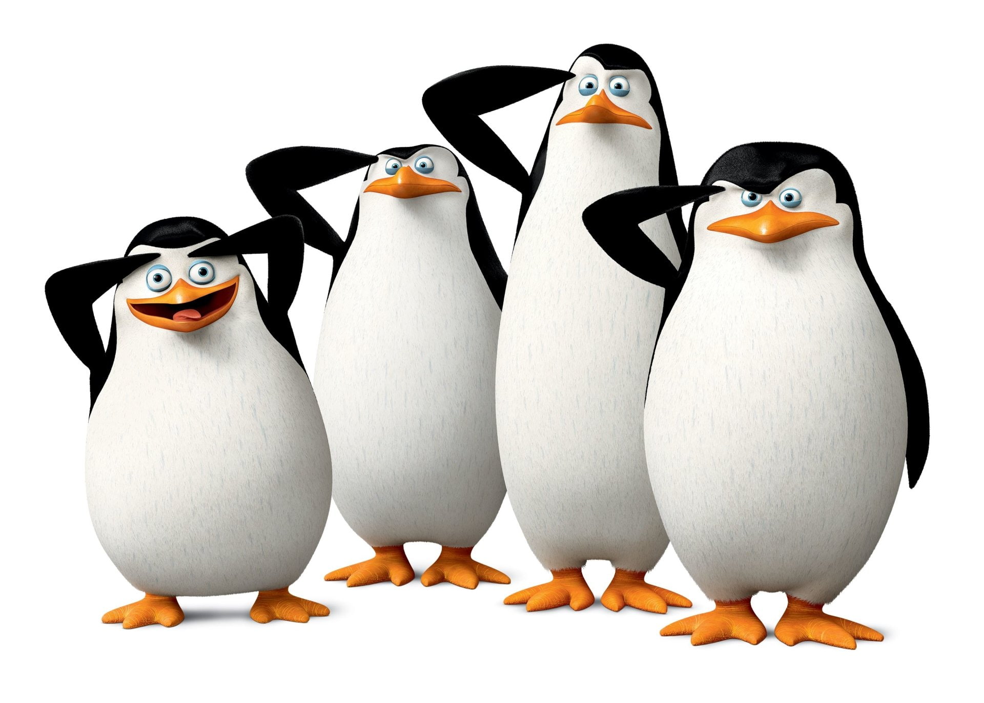 Movie, Penguins Of Madagascar, studio shot, bird, animal, egg