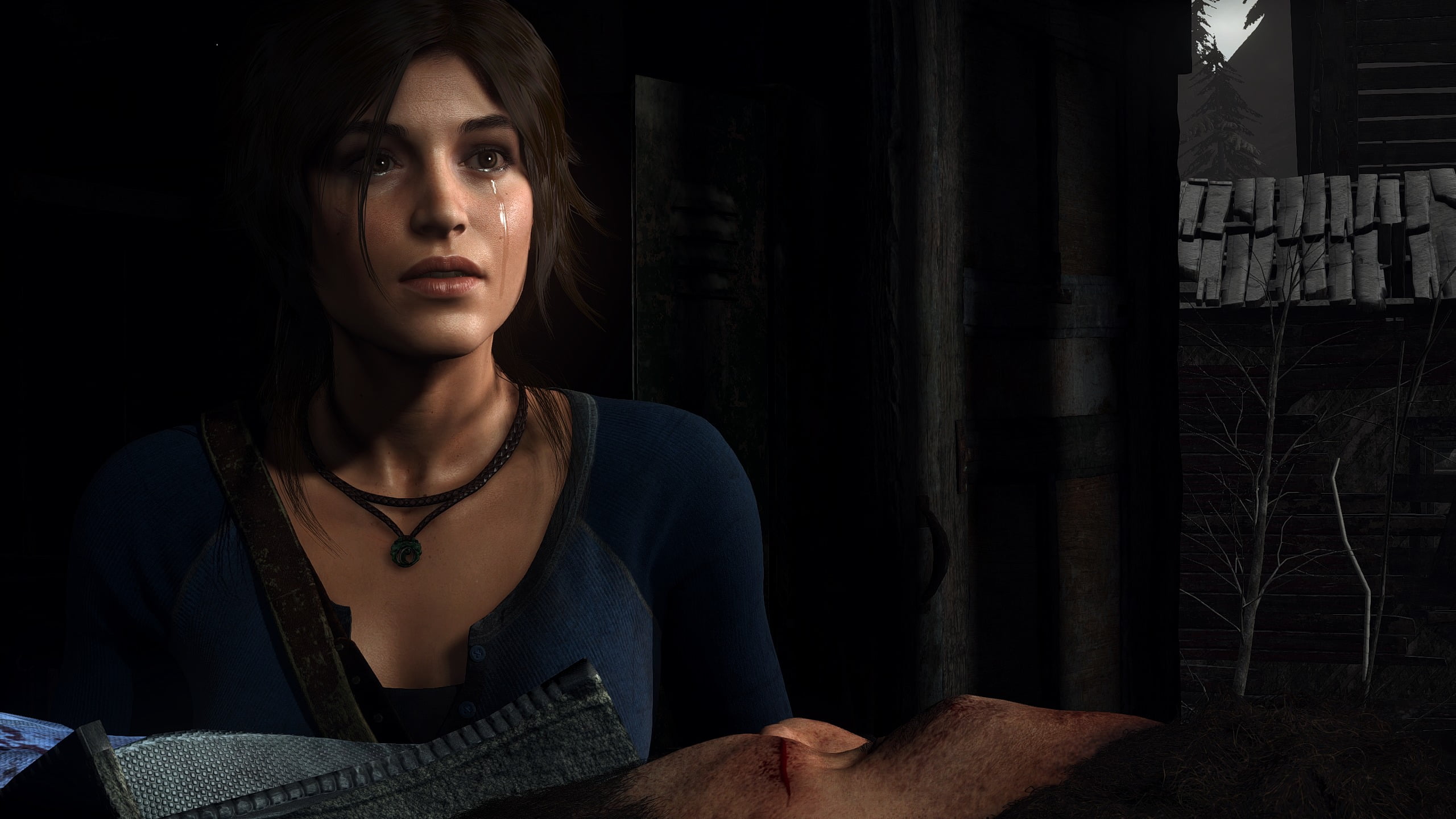 women's blue shirt, Rise of the Tomb Raider, Lara Croft, young adult