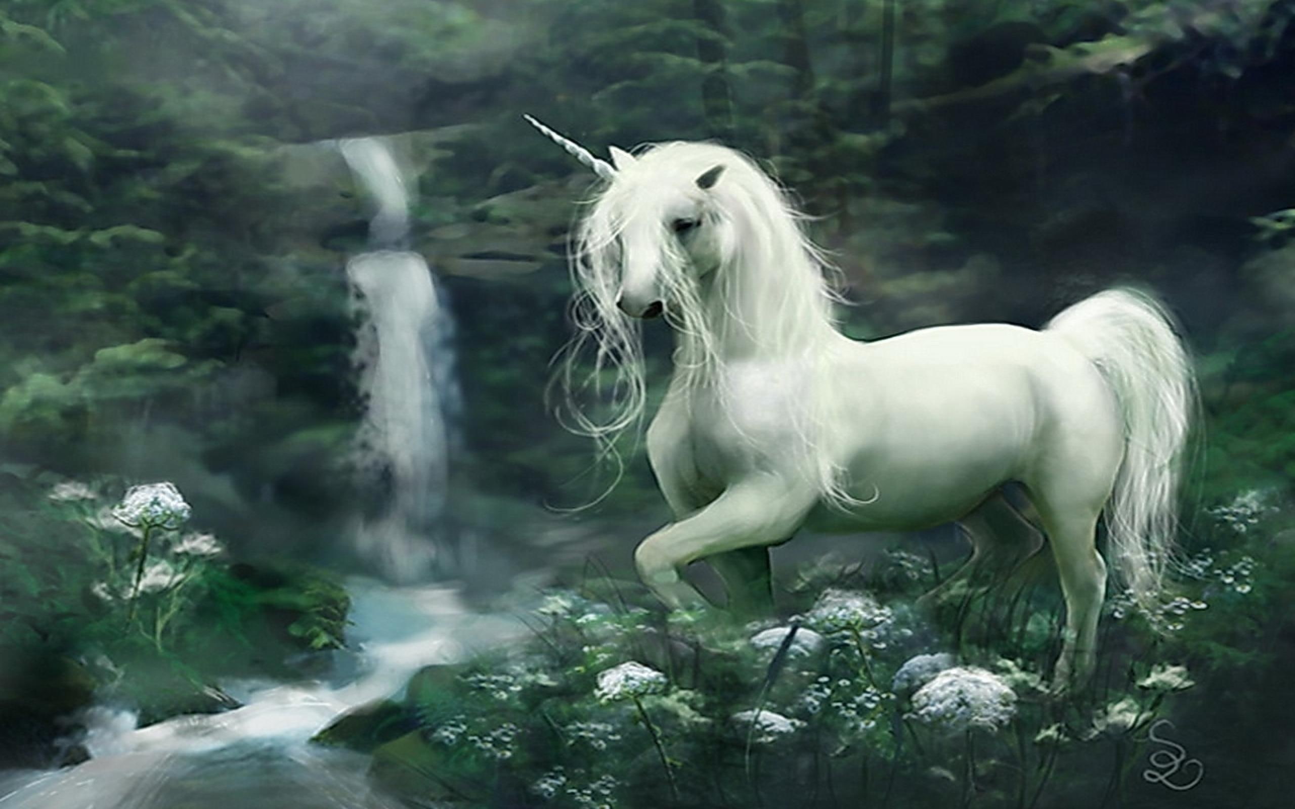 White Unicorn, spirit, lovely, spiritual, beautiful, magic, waterfall