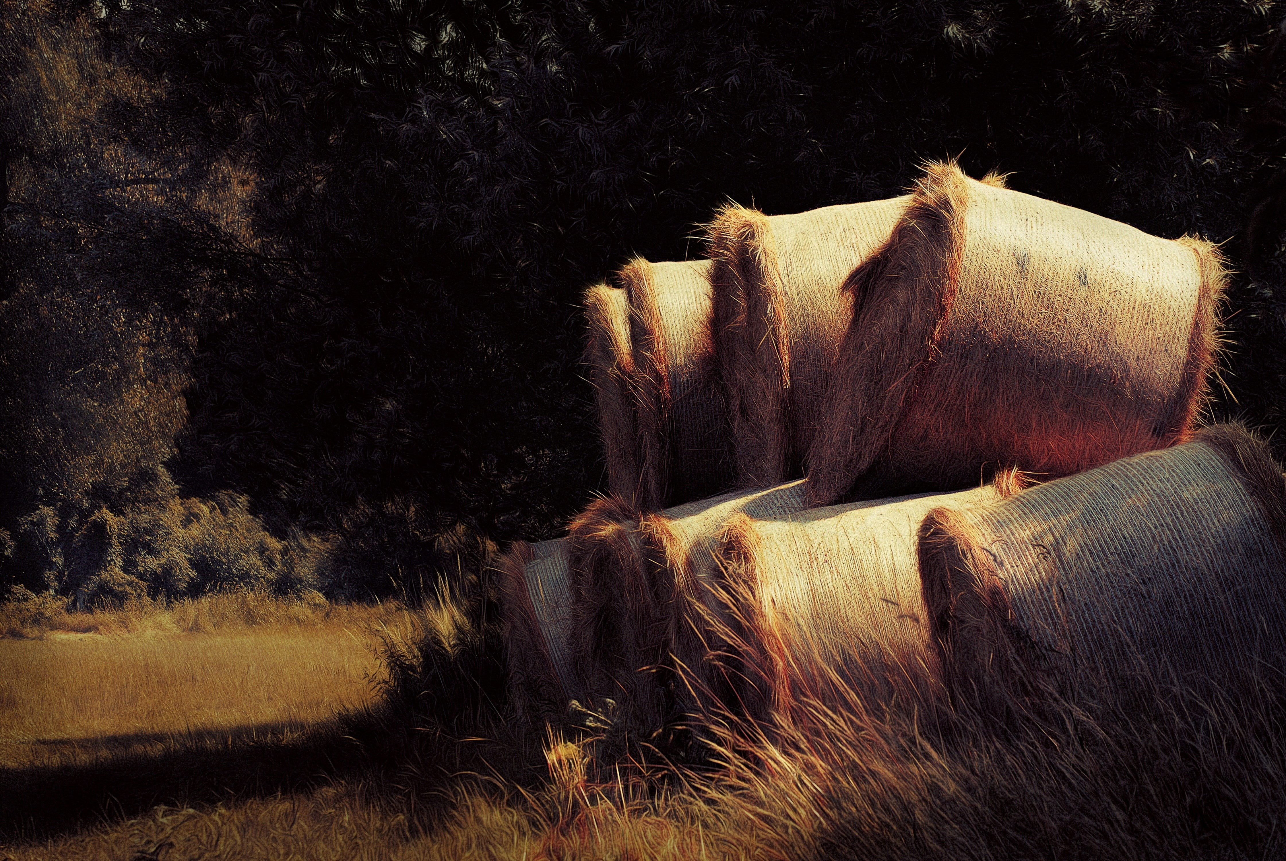 haystack