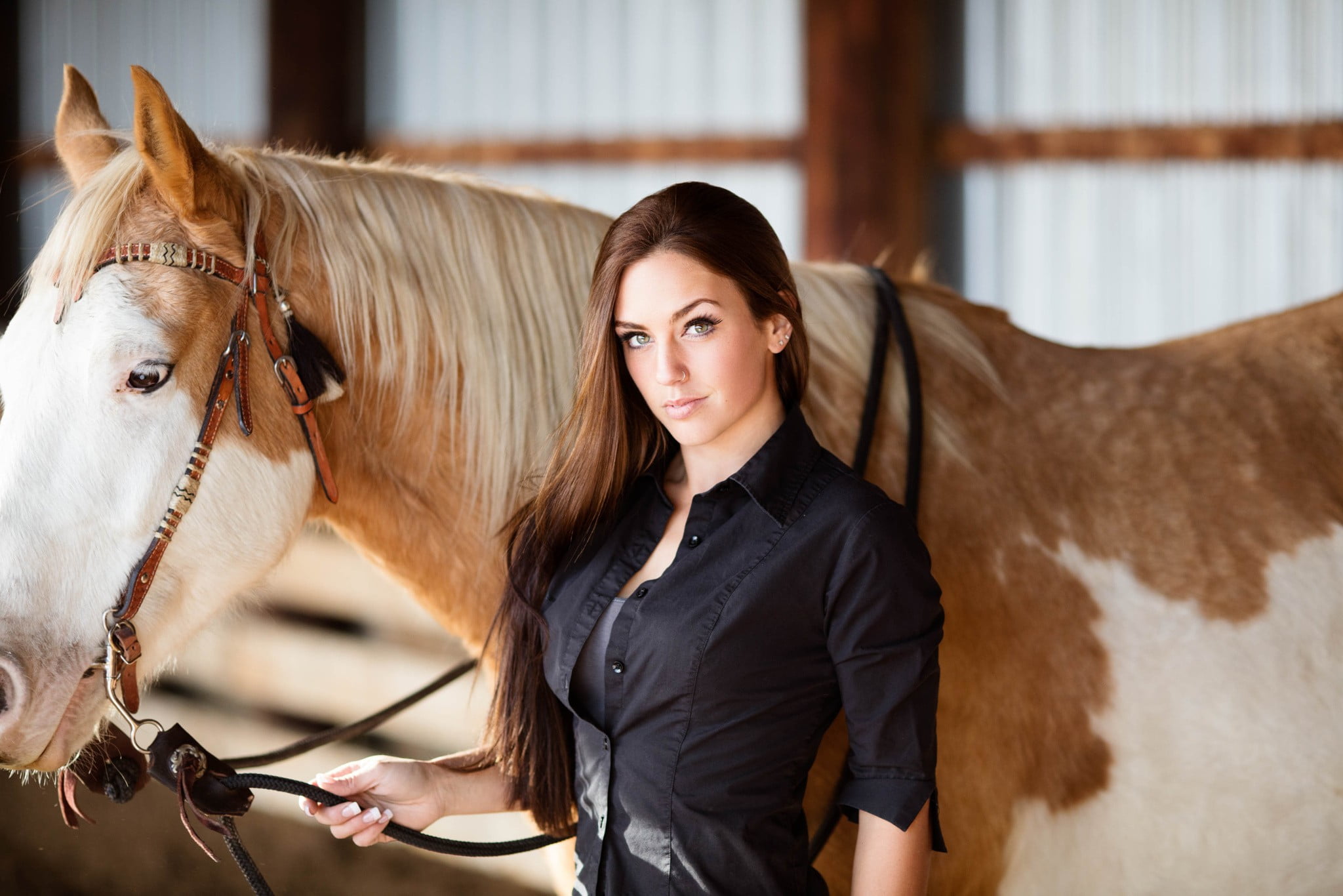 women, model, portrait, long hair, horse, animals, equine, shirt