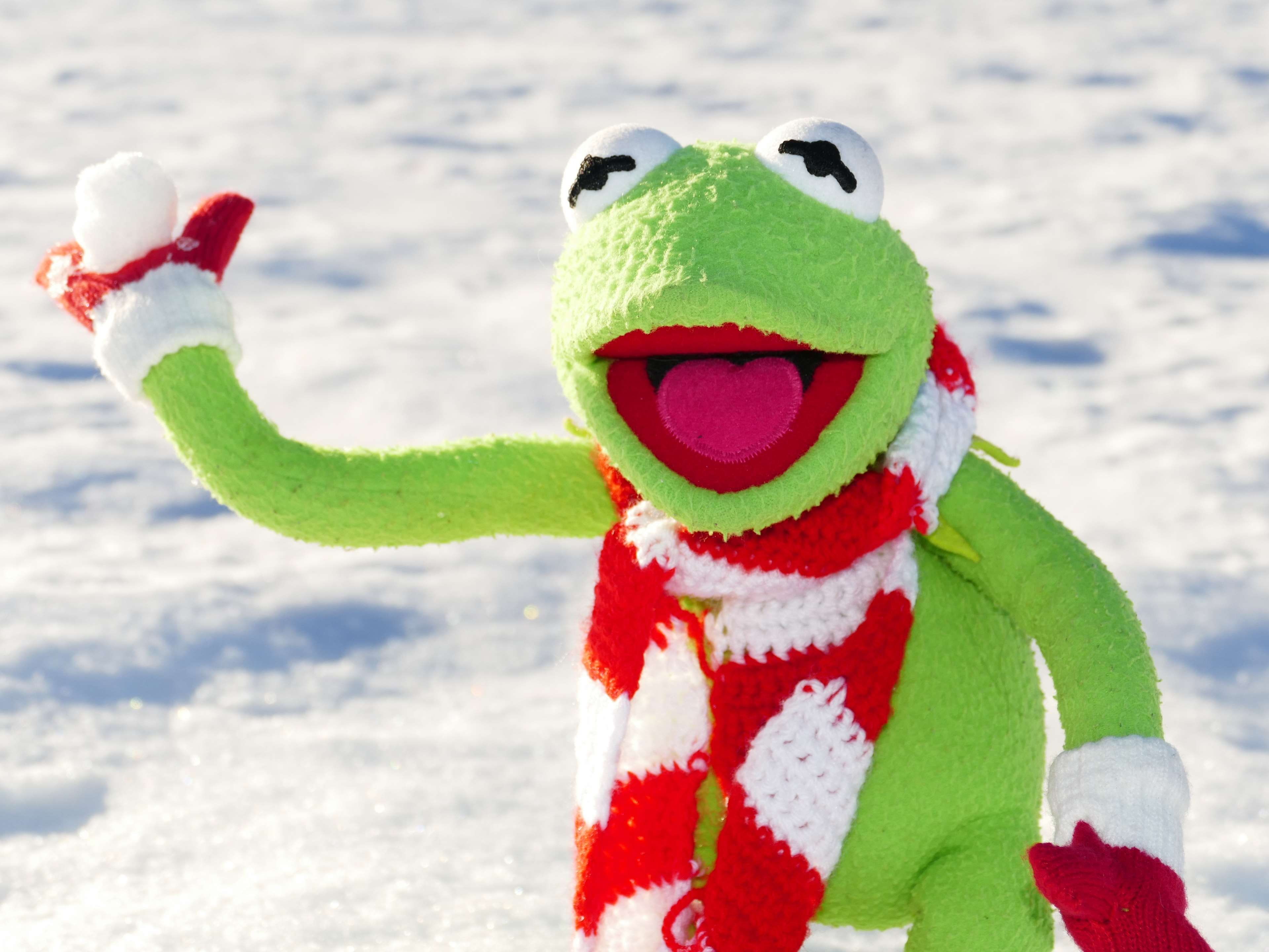 cold, fig, frog, fun, kermit, snow, snow ball, throw, winter