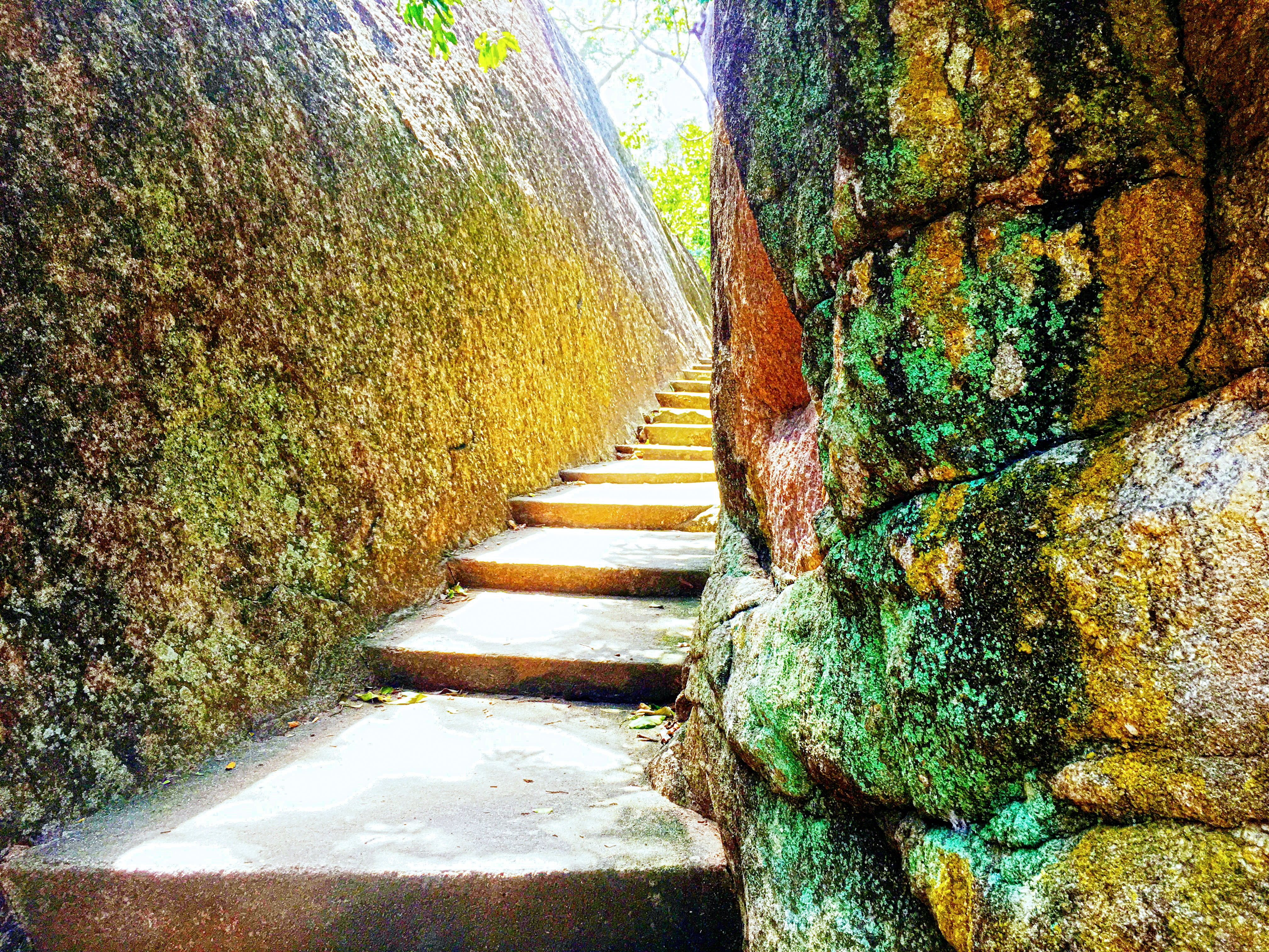 Sri Lanka, nature, sea, road, rock stairs, trees, photography
