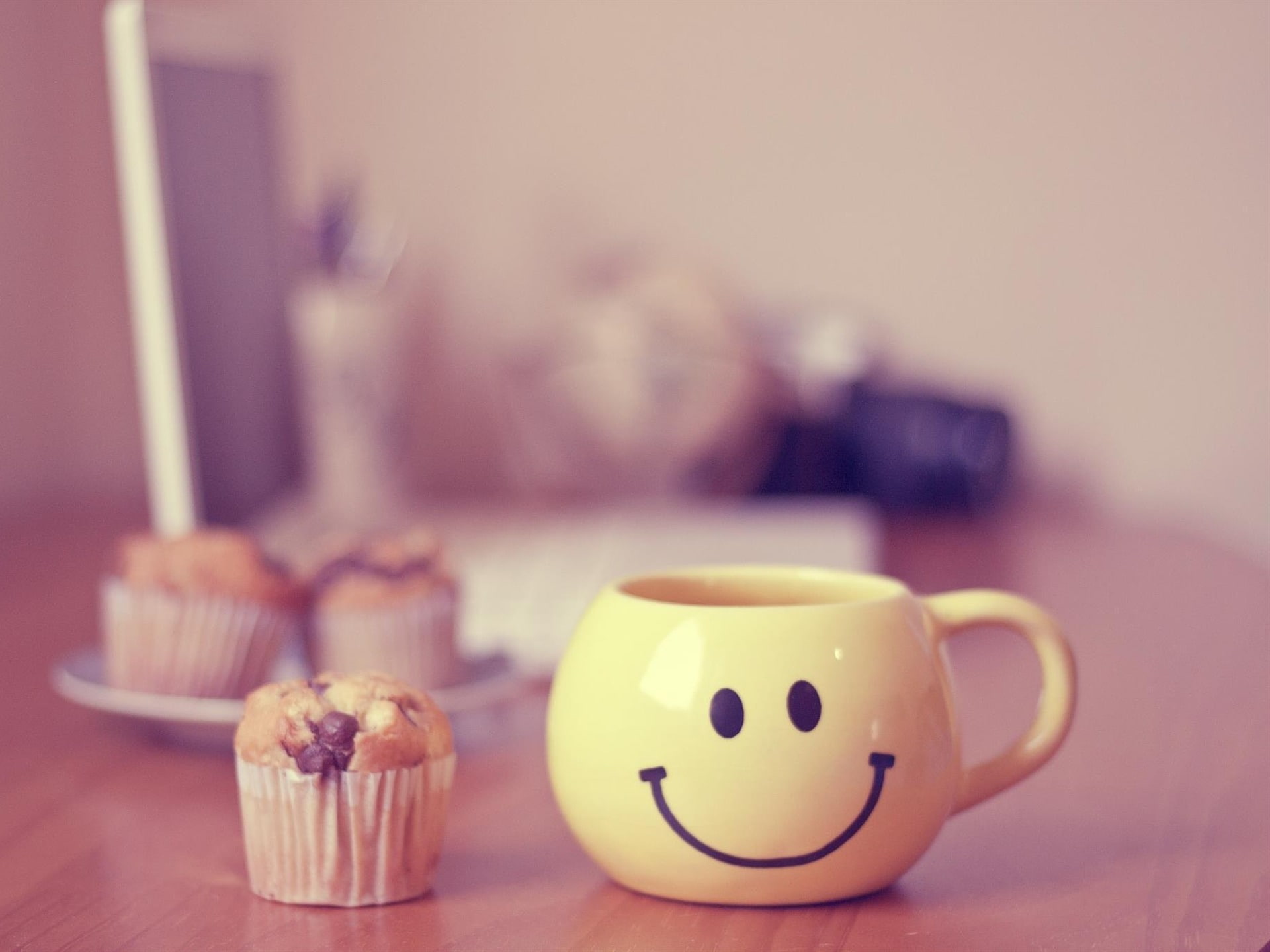 Cute Cup Photography-High quality wallpaper, food and drink, indoors