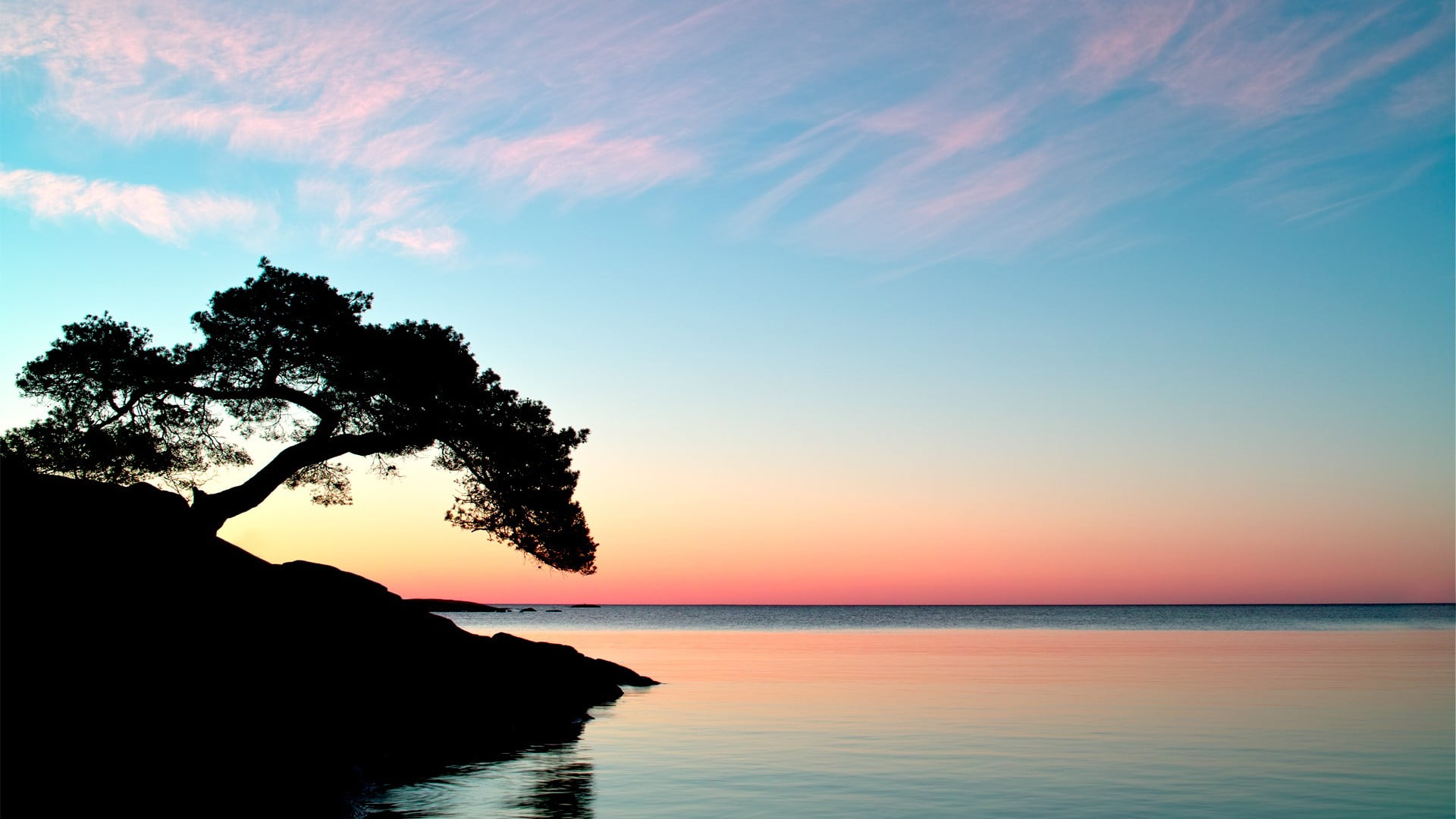 silhouette of tree, sunset, sky, trees, horizon, water, sea, tranquility