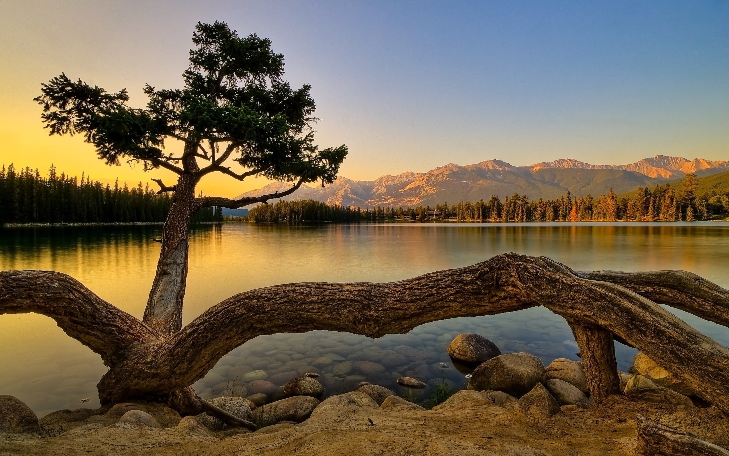 Superb Summer Landscape, body of water sunset photo, tree, lake