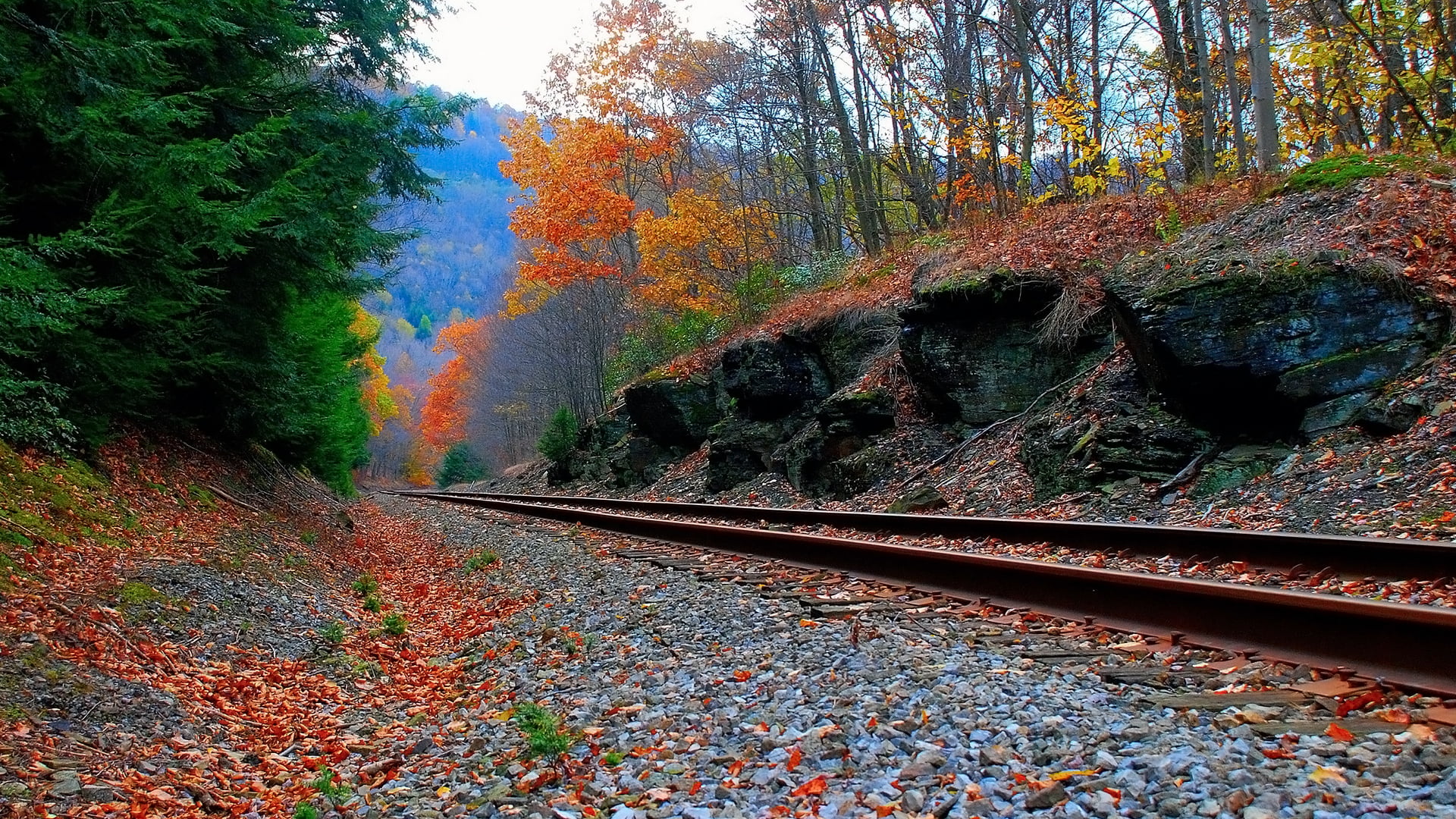 brown train rail, railway, landscape, trees, rock, forest, autumn