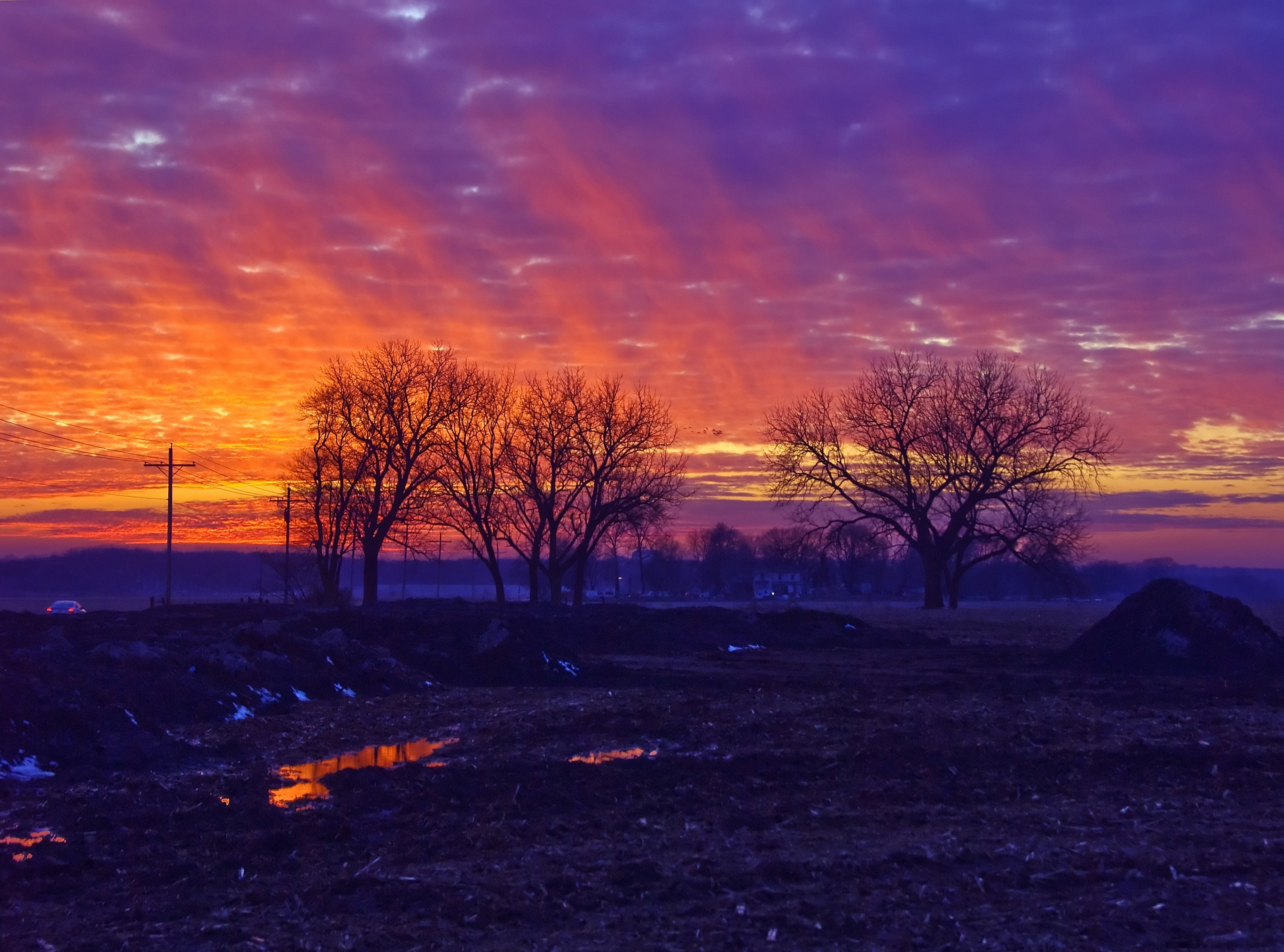 Ghost Riders In The Sky, withered trees, United States, Kansas