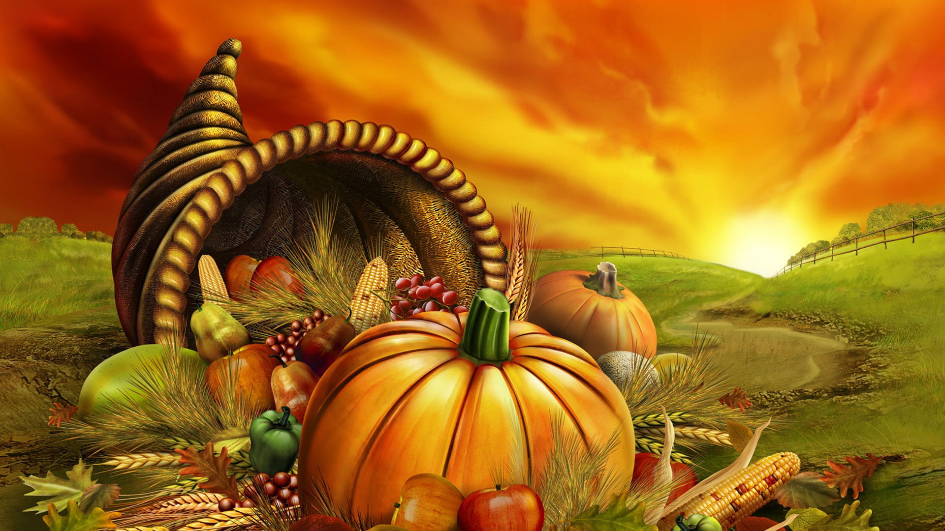 squash, pumpkin, vegetable, produce, halloween, orange, autumn