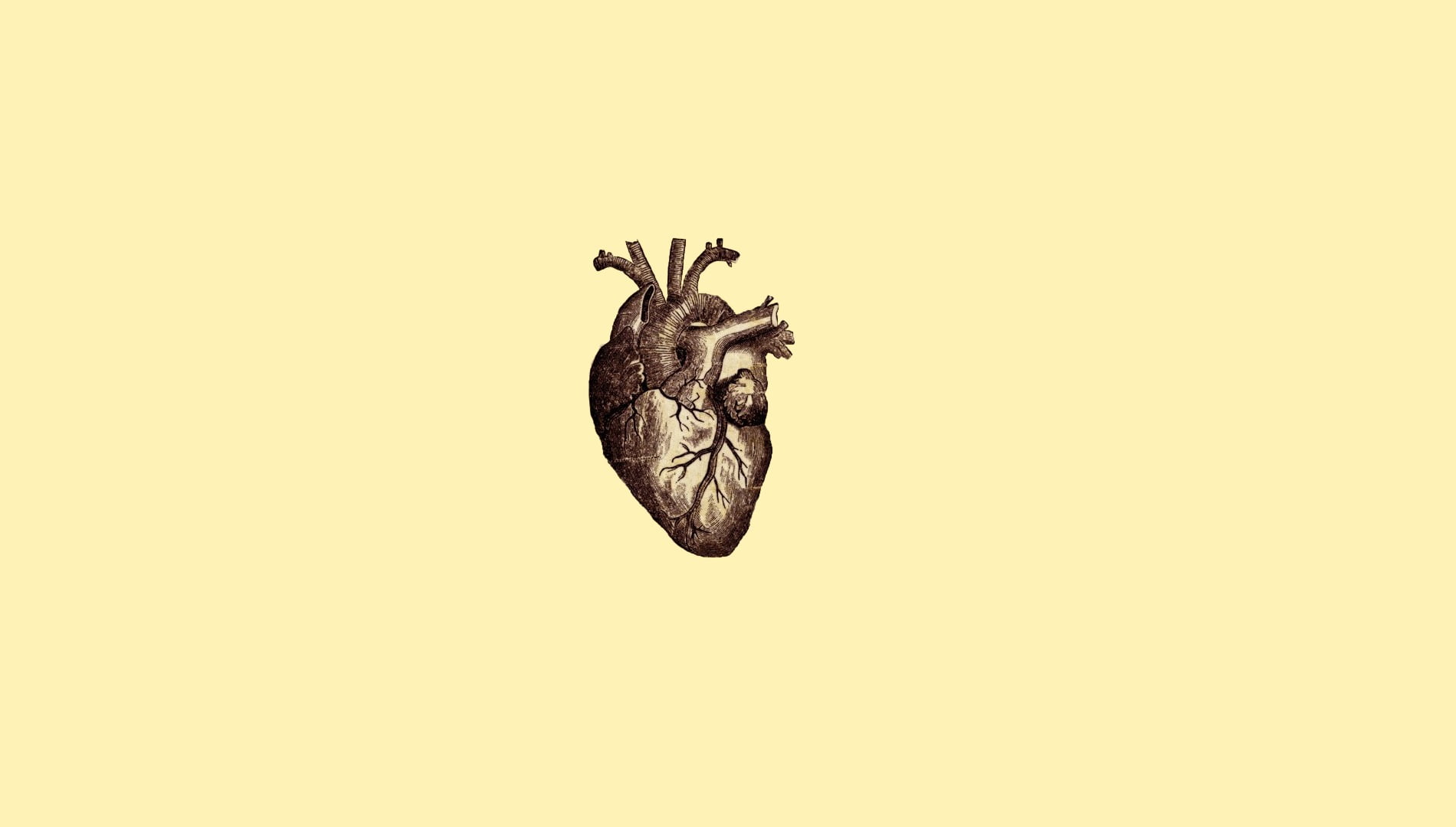 human heart illustration, digital art, minimalism, simple, simple background