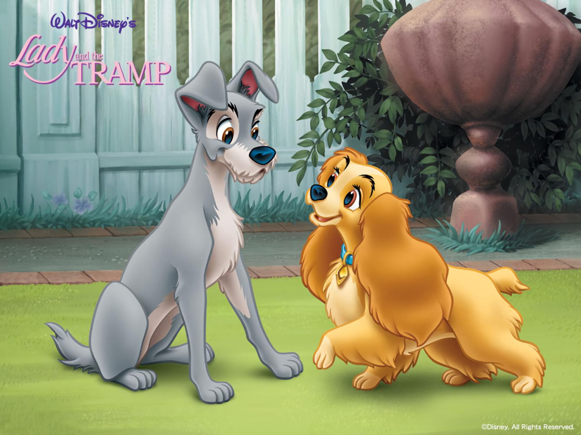 Movie, Lady And The Tramp