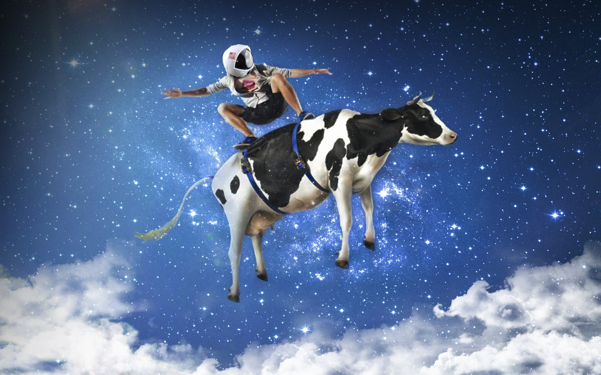 cow, space, blue, Photoshop