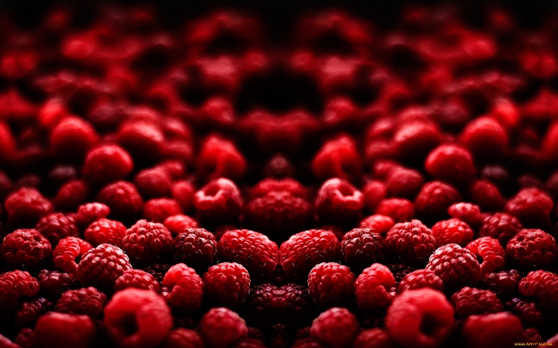 raspberry