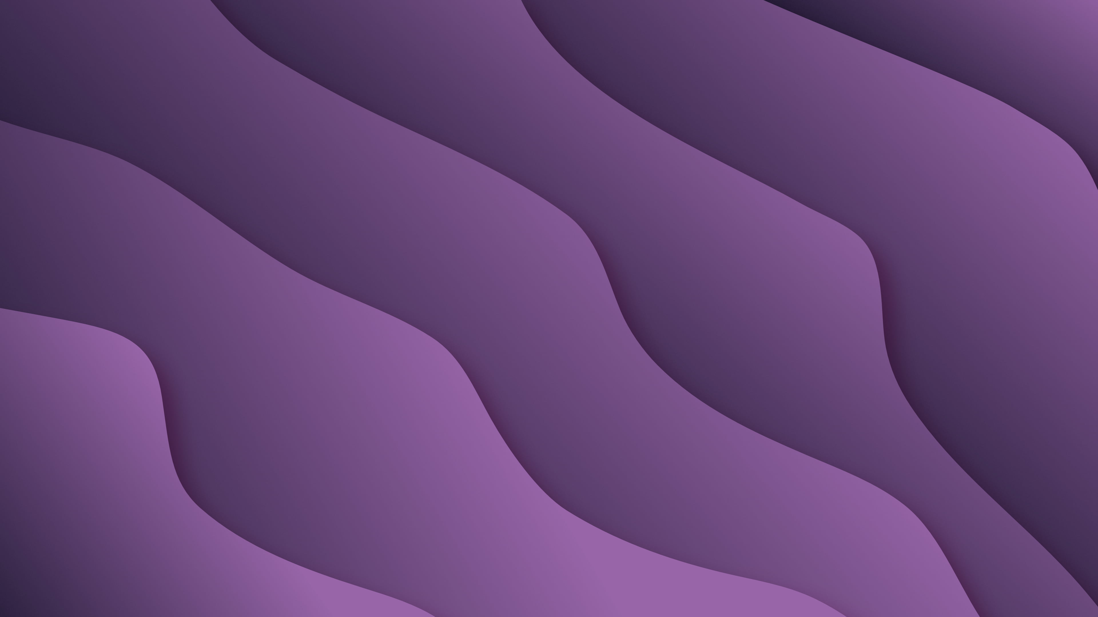vector, desginer