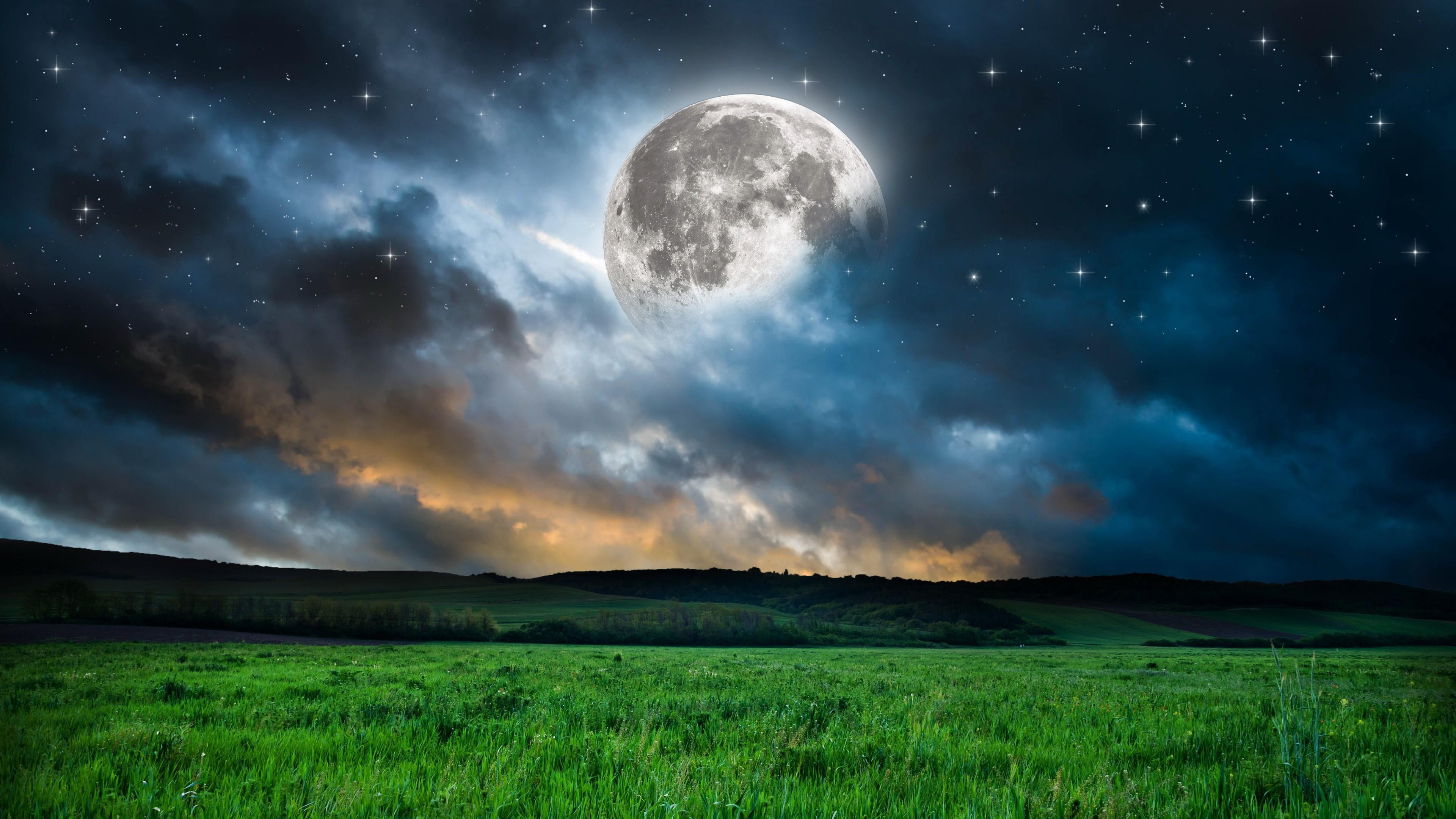 moon, fullmoon, full moon, grassland, field, night, horizon