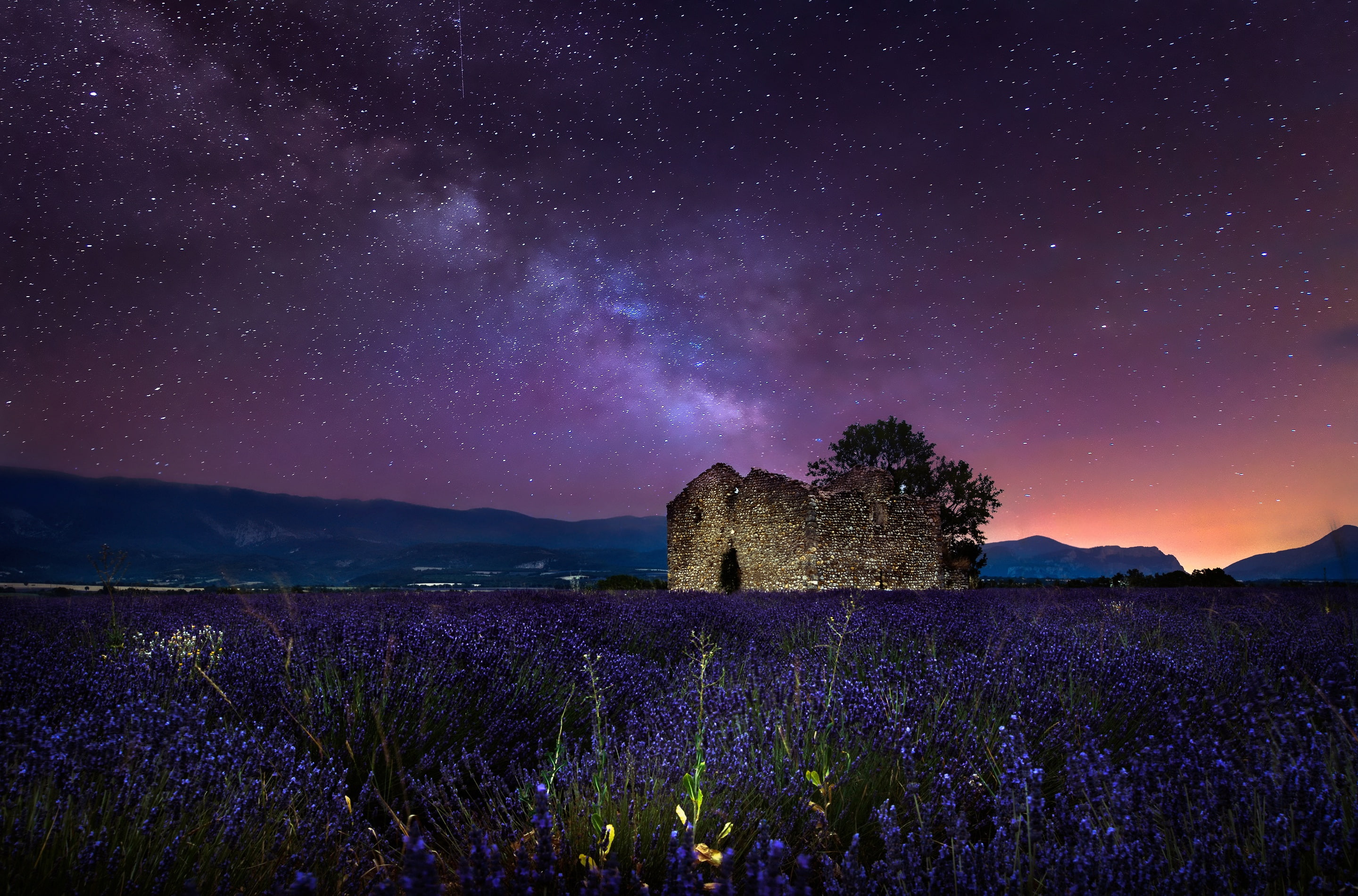 gray stone surrounded with bed of purple flowers, field, the sky