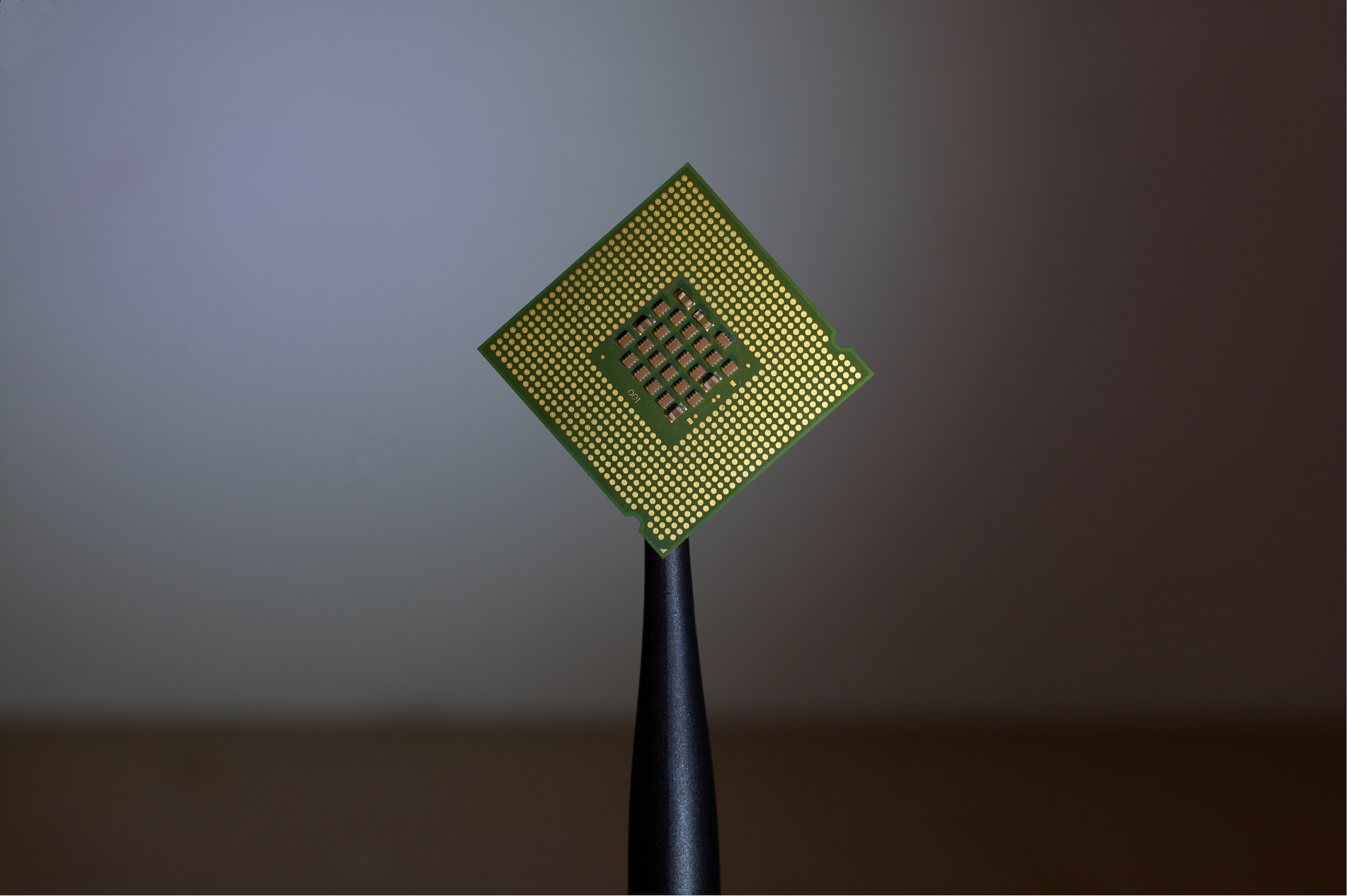 macro, Intel, CPU, processor, socket, S775, contacts