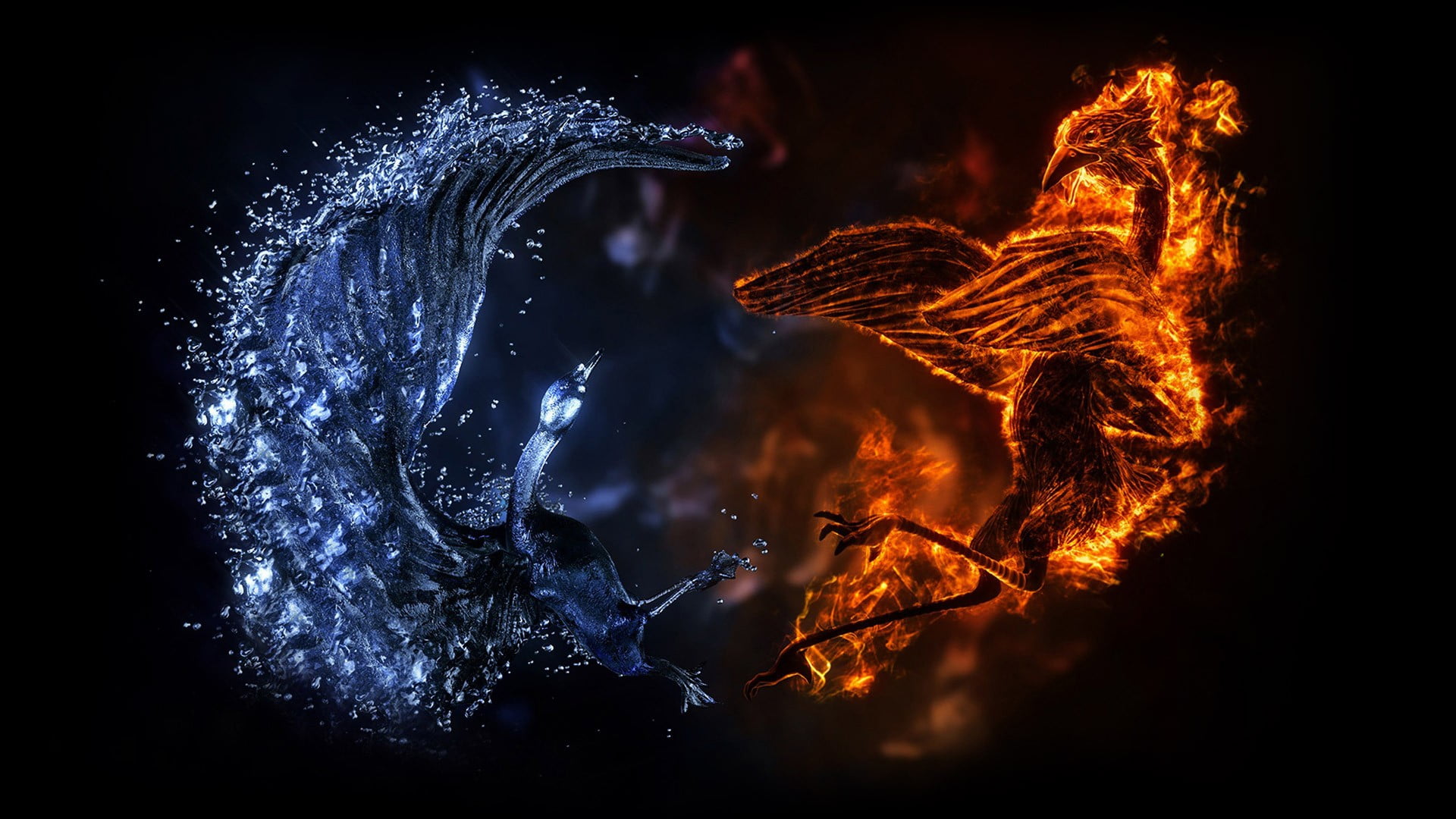 water and fire illustration, digital art, ice, birds, motion