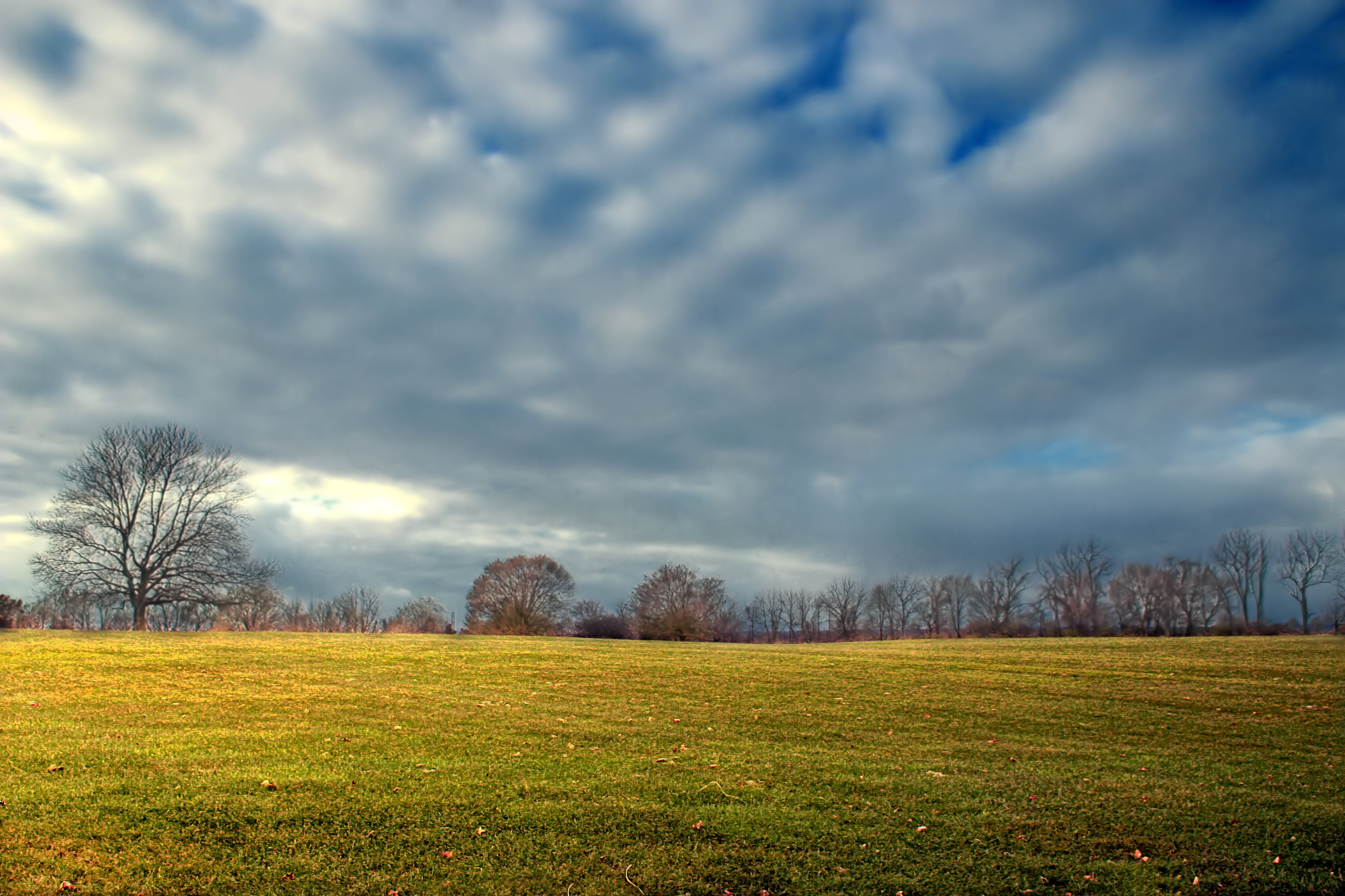 bare trees under cloudy sky, Field, Pennsylvania, Northampton County