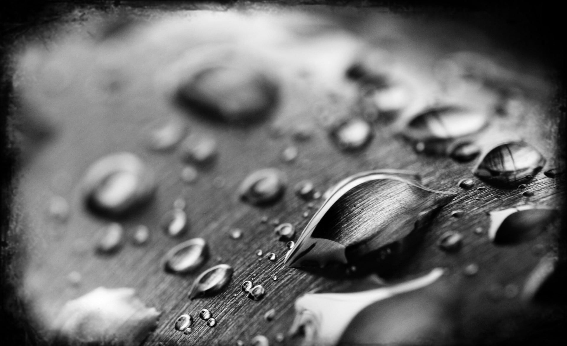 Drops Of Water Black And White, waterdrops grayscale photo, Aero