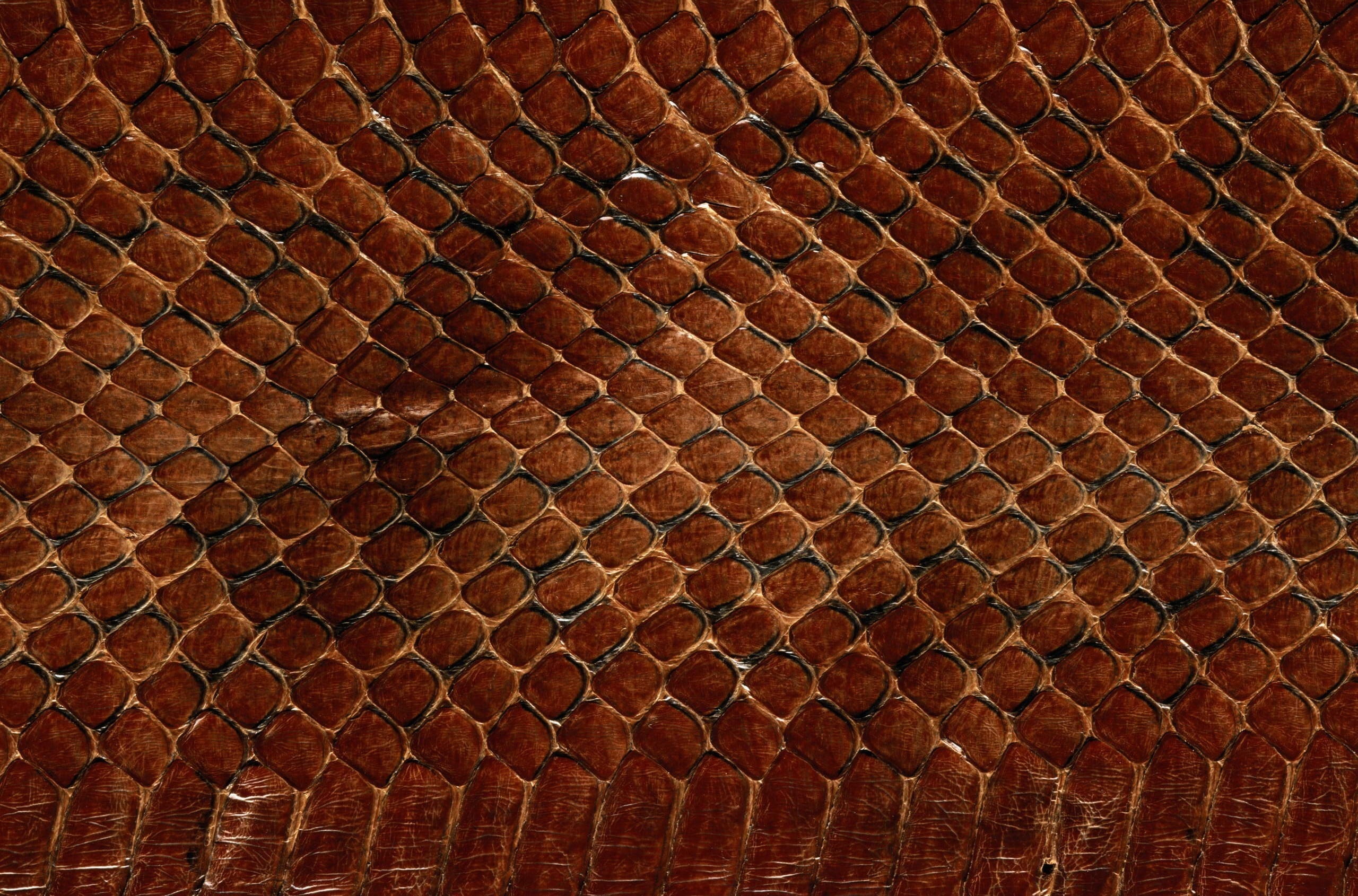 brown concrete pavement, texture, leather, snake, scales, background