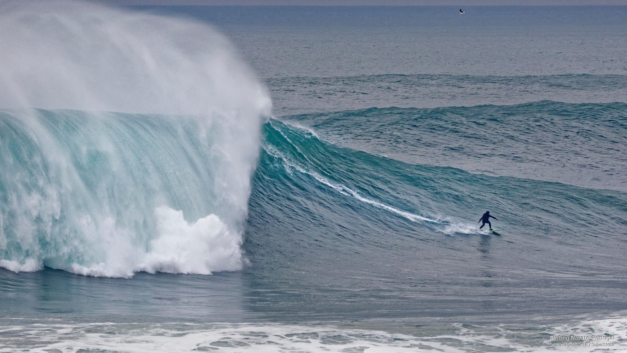 Surfing Nazare, Portugal, Nature