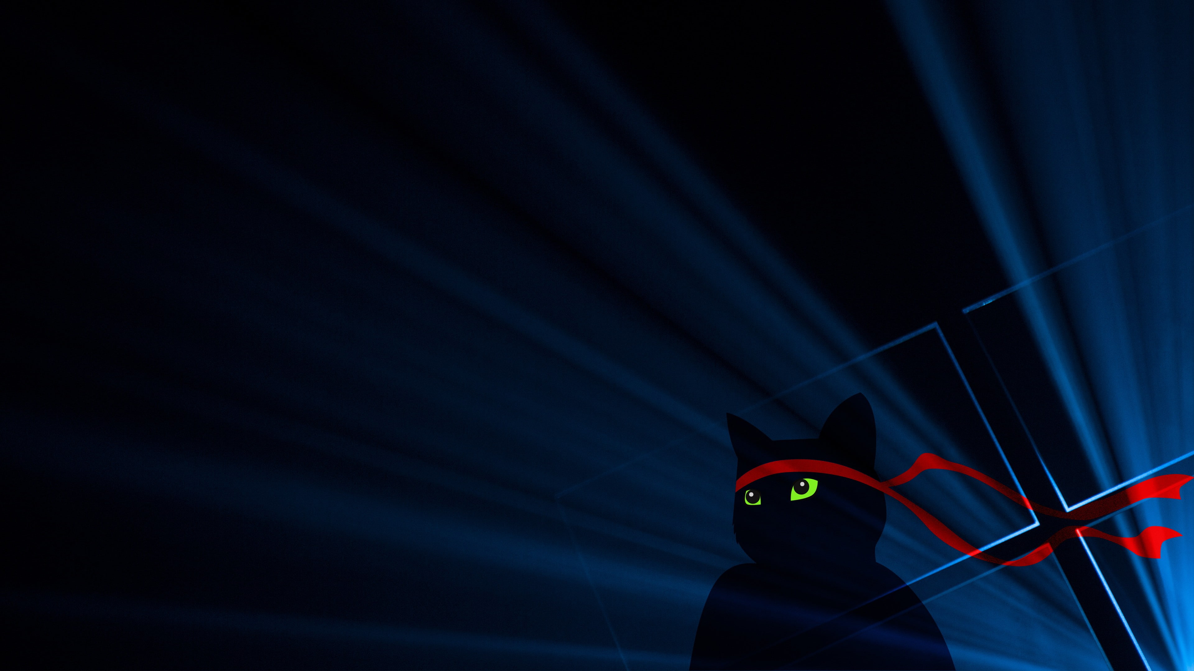Windows 10, Windows 10 Anniversary, Ninja Cat, night, lighting equipment