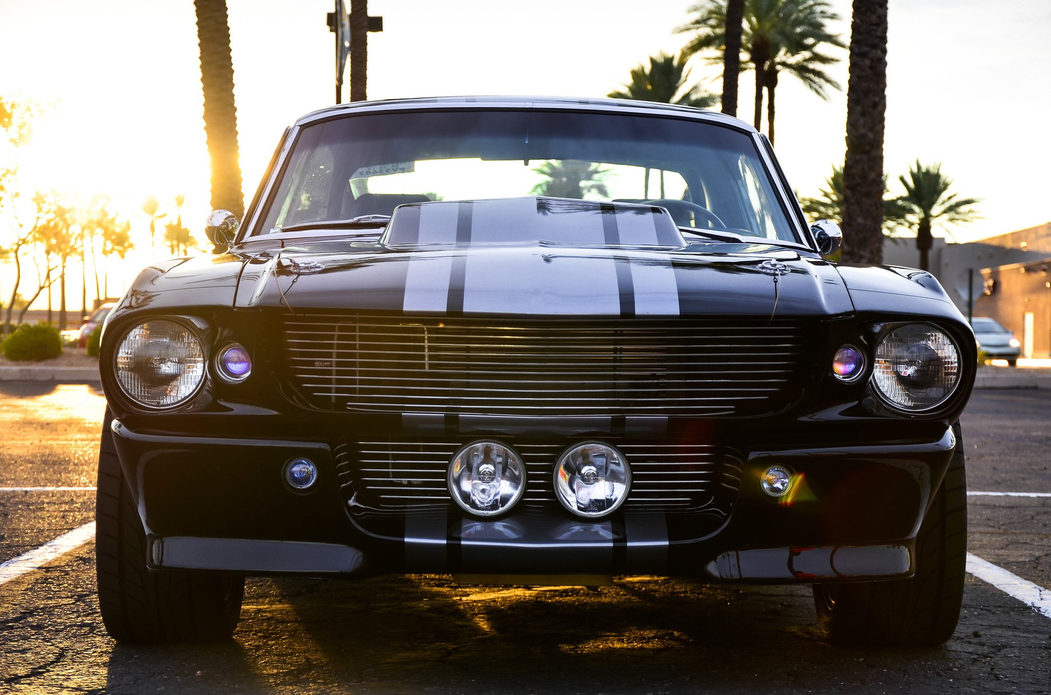 1967, cage, classic, cobra, eleanor, ford, gt500, hot, movies