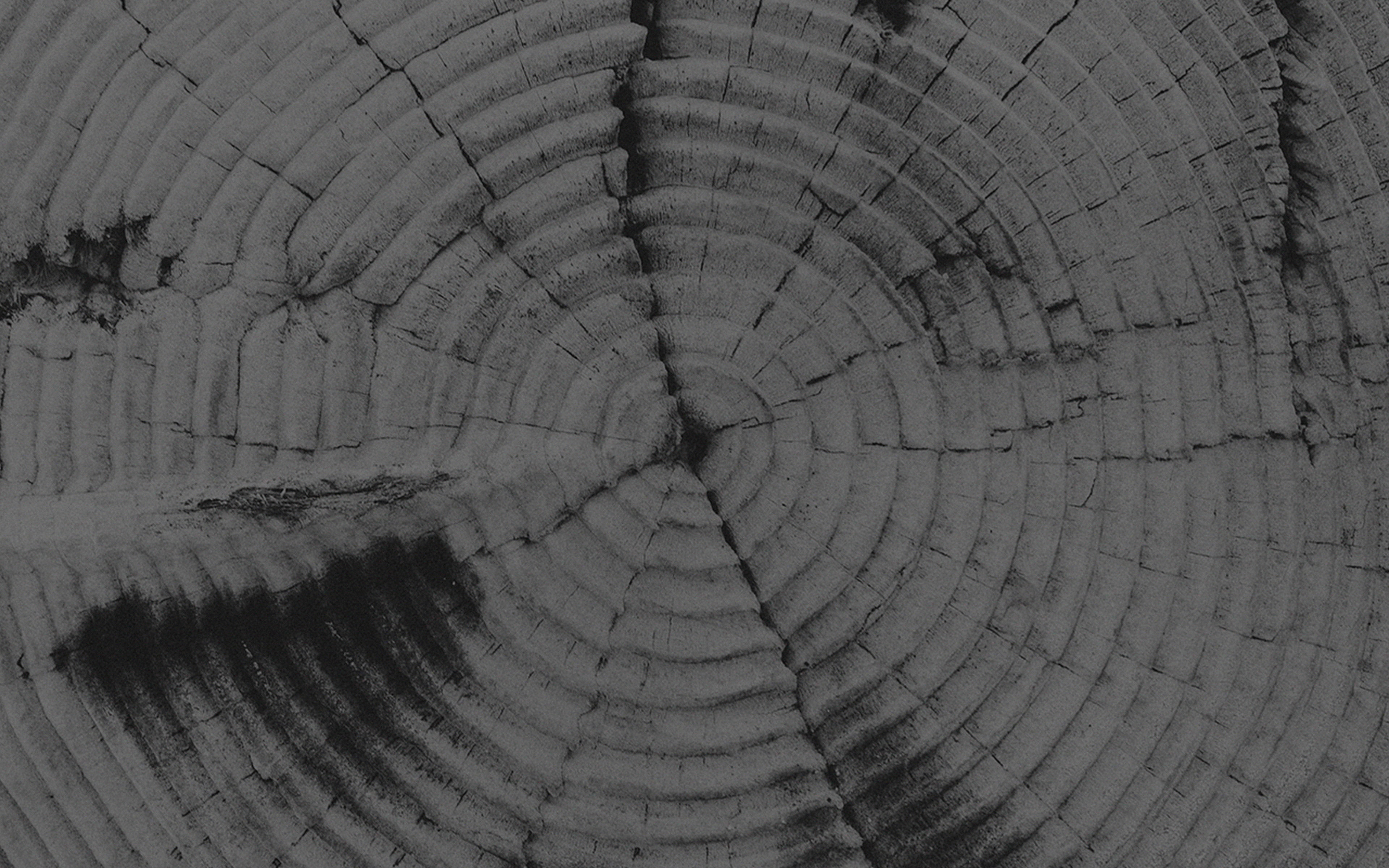 old, tree, texture, pattern, bw, dark, full frame, backgrounds