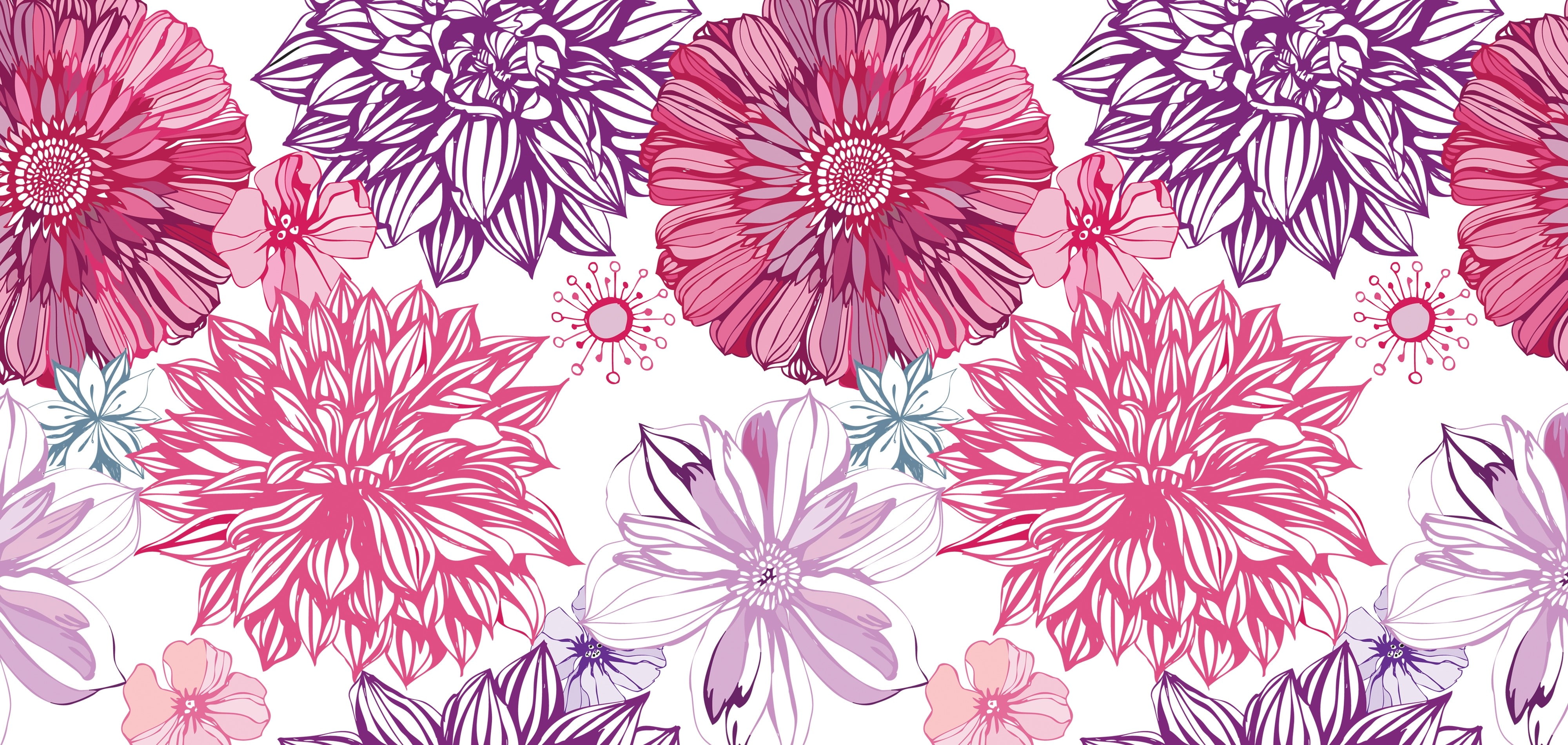 Asters, Patterns, Backgrounds, Surface, Texture, white background