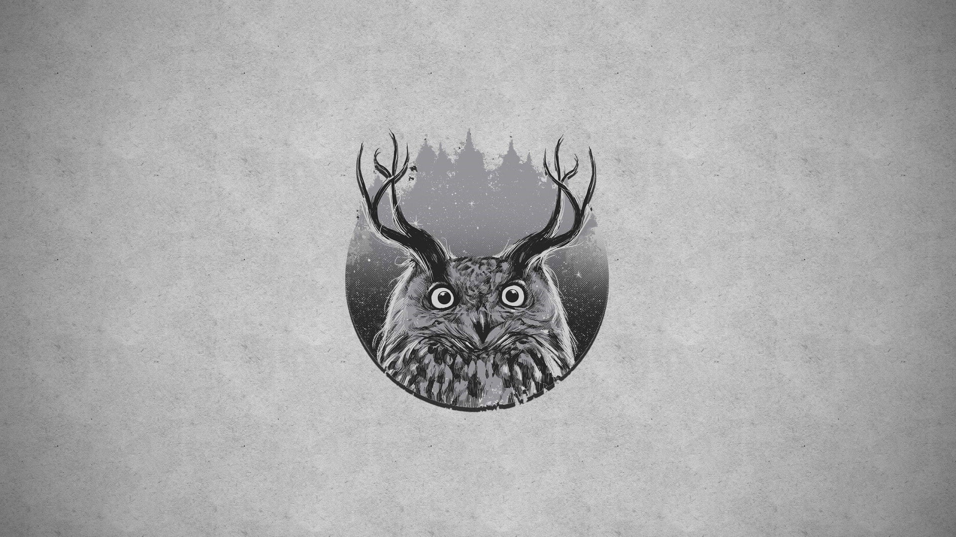 owl, forest