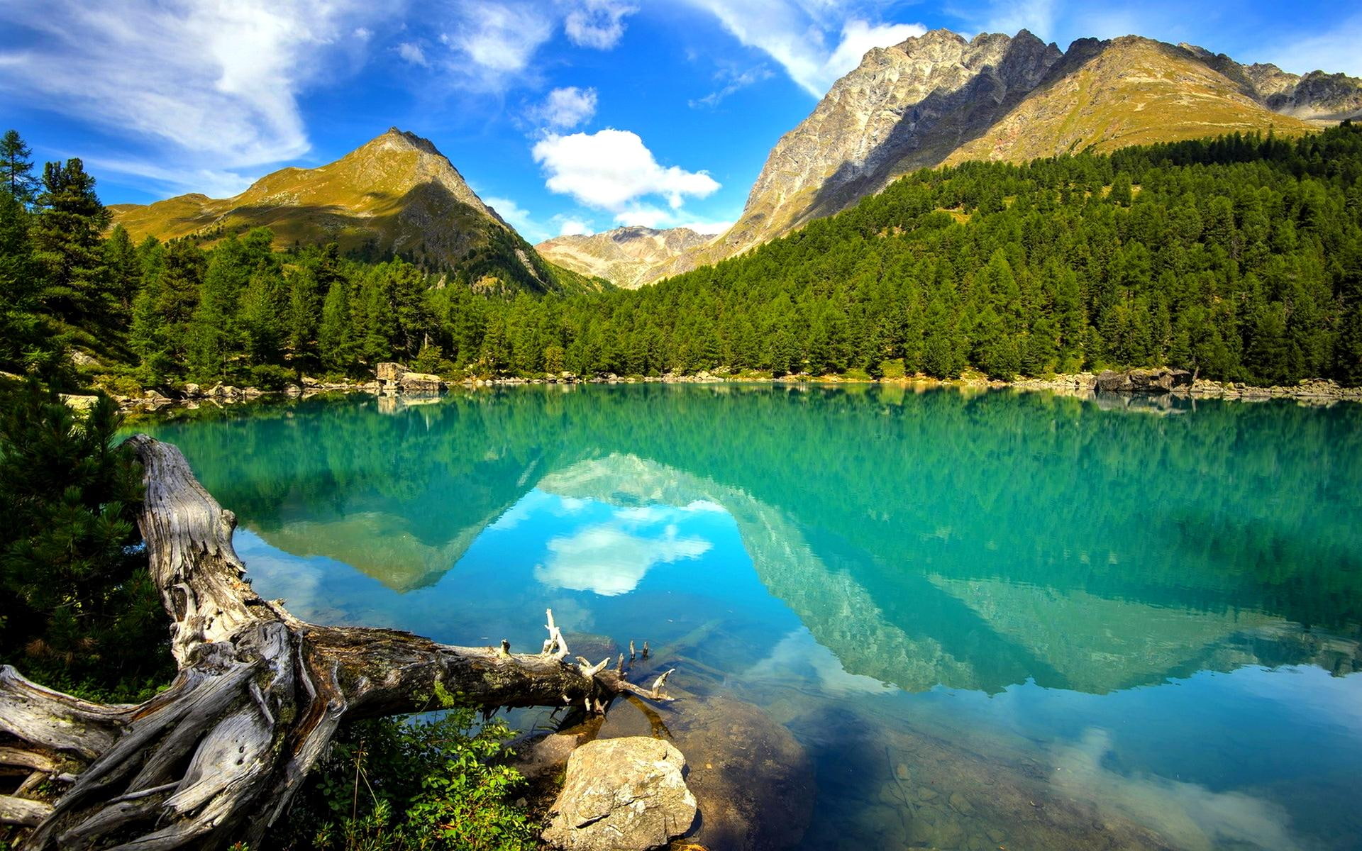 Silent Lake, mountain, landscape, forest, nature and landscapes