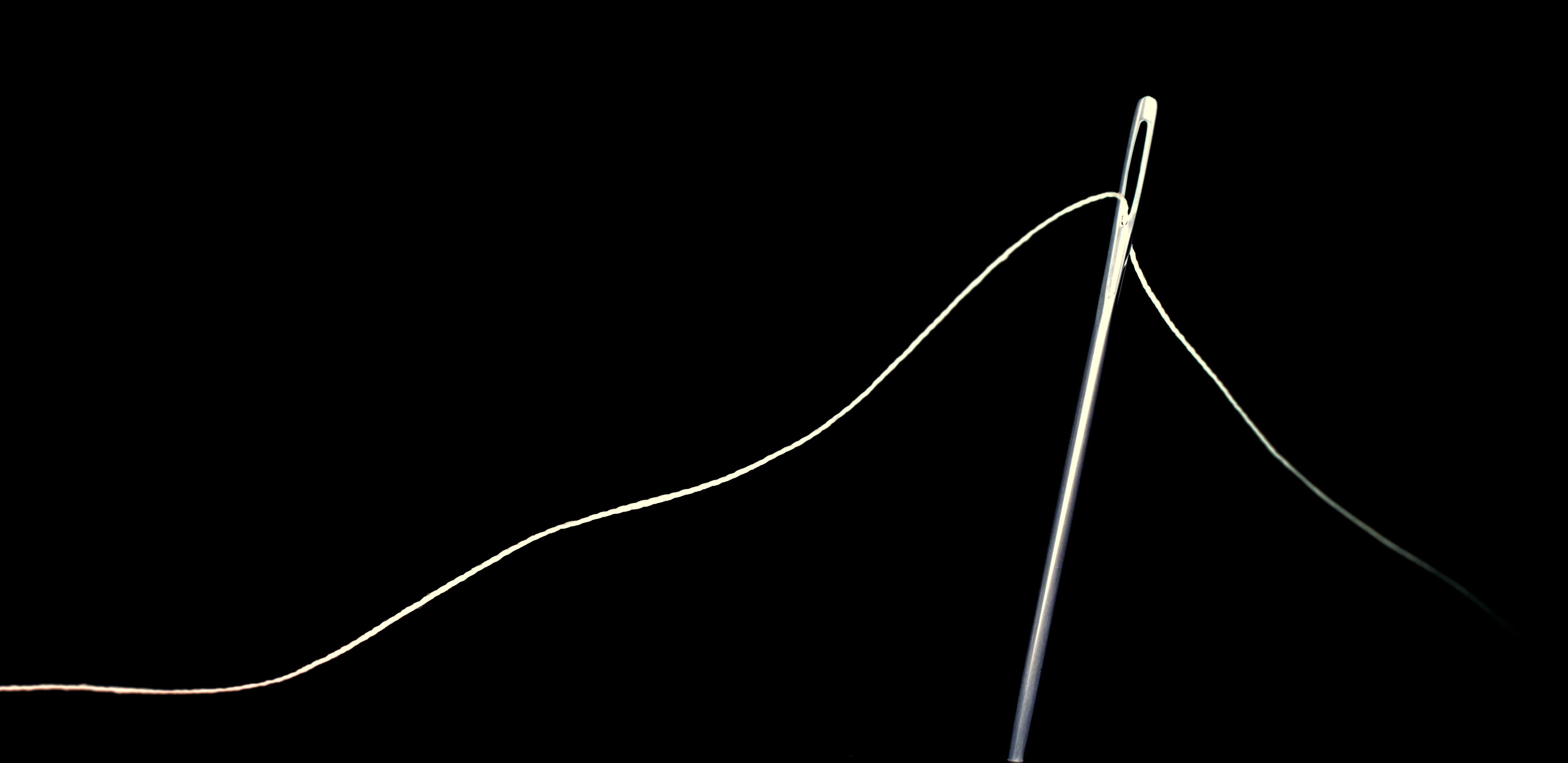 macro, thread, needle