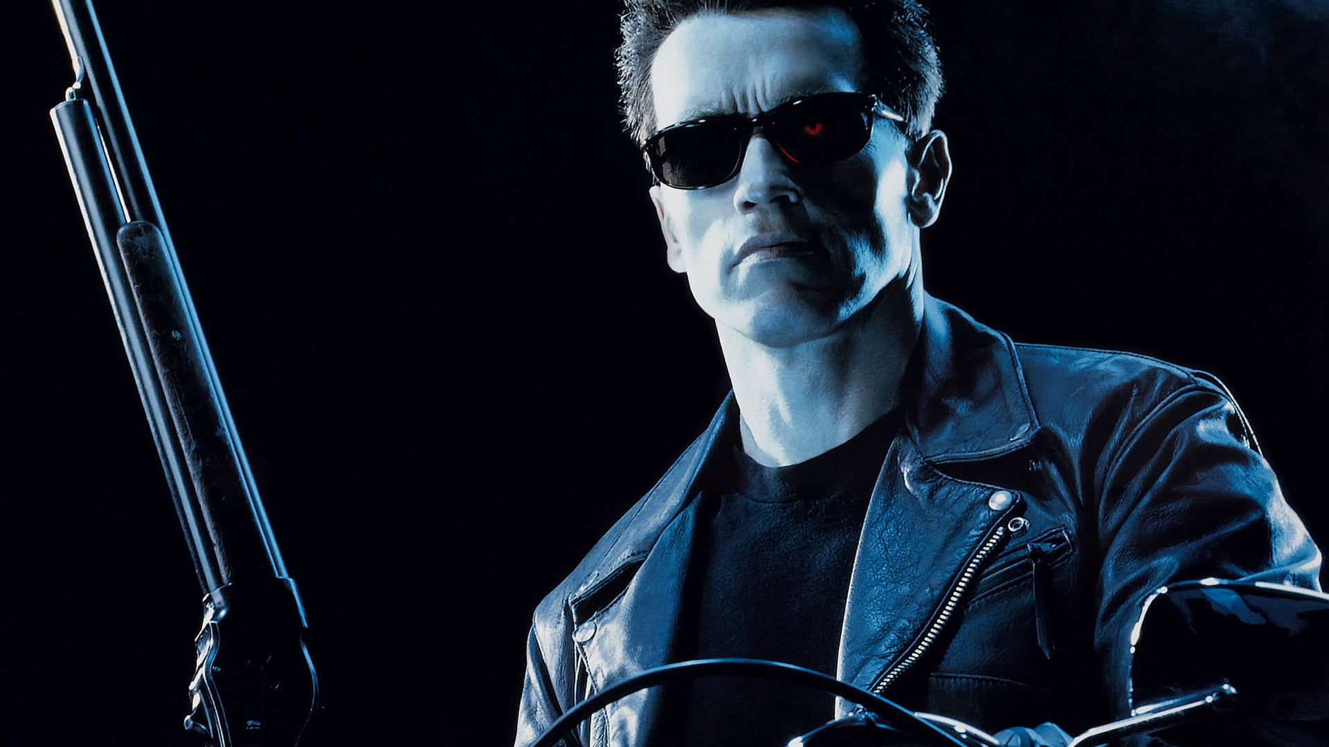 The Terminator Arnold Schwarzenegger, movies, Terminator 2, T-800