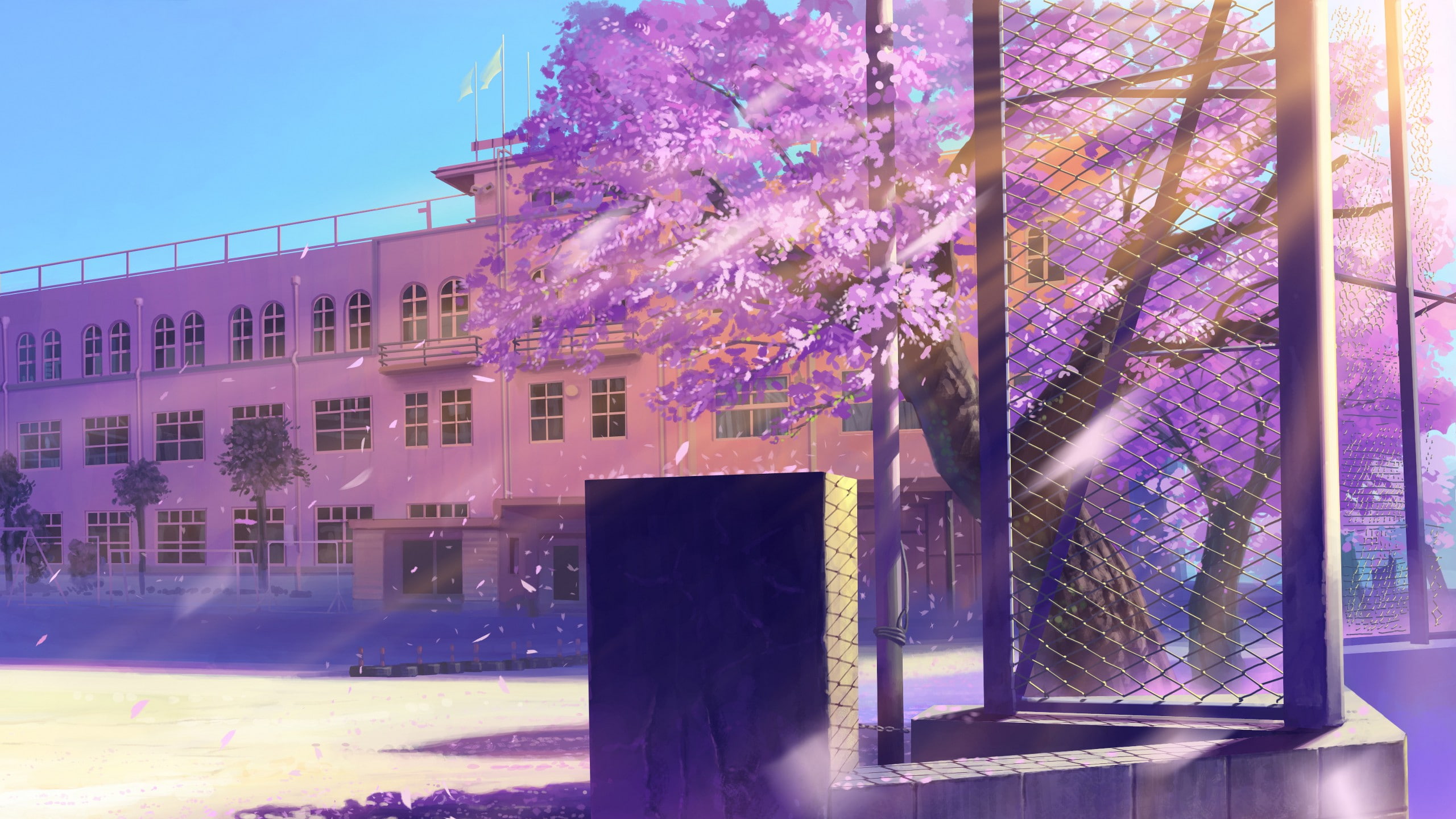 school, cherry blossom, anime, artwork